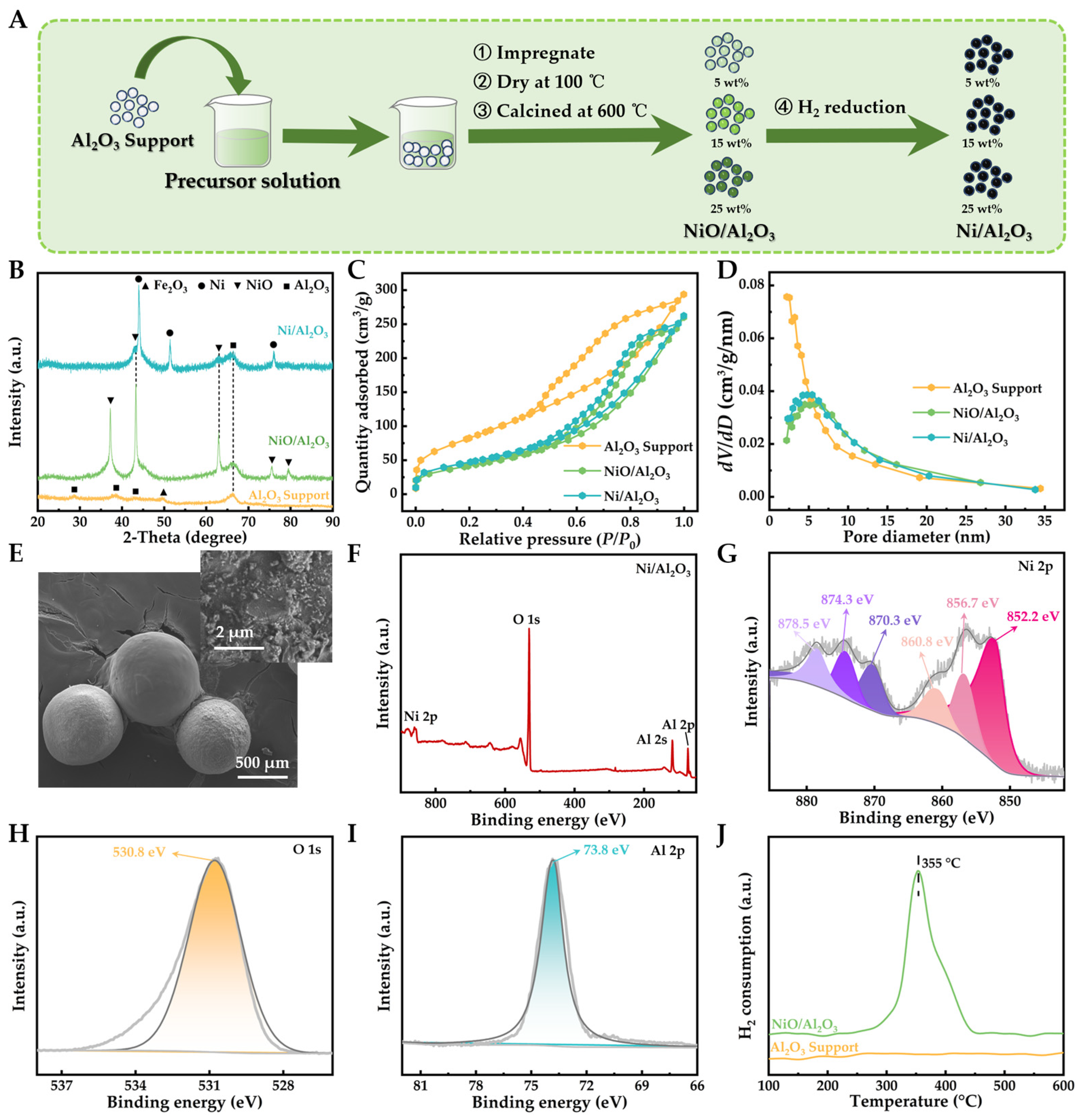 Molecules 29 04868 g001