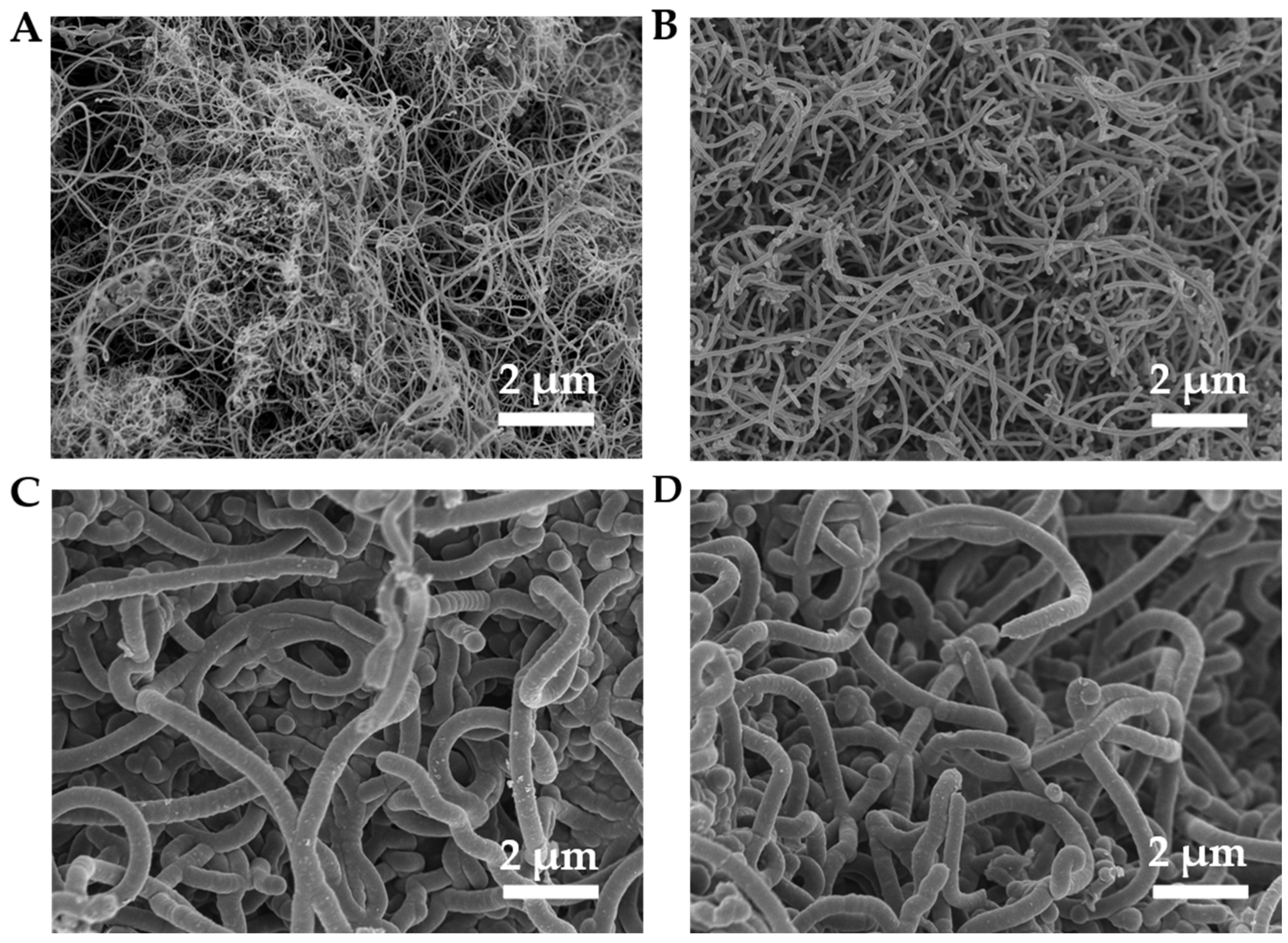 Molecules 29 04868 g005