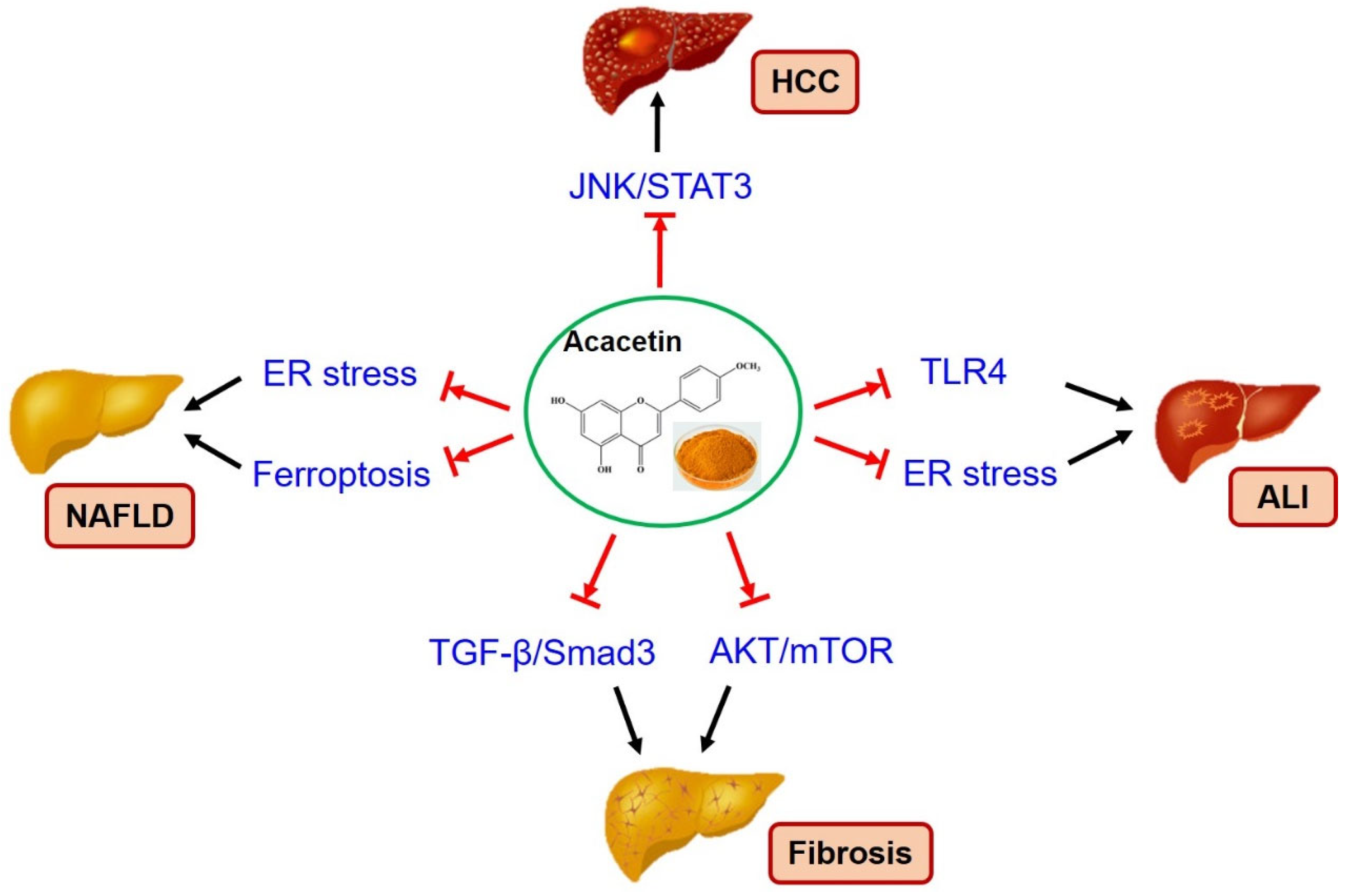 Molecules 29 04872 g002