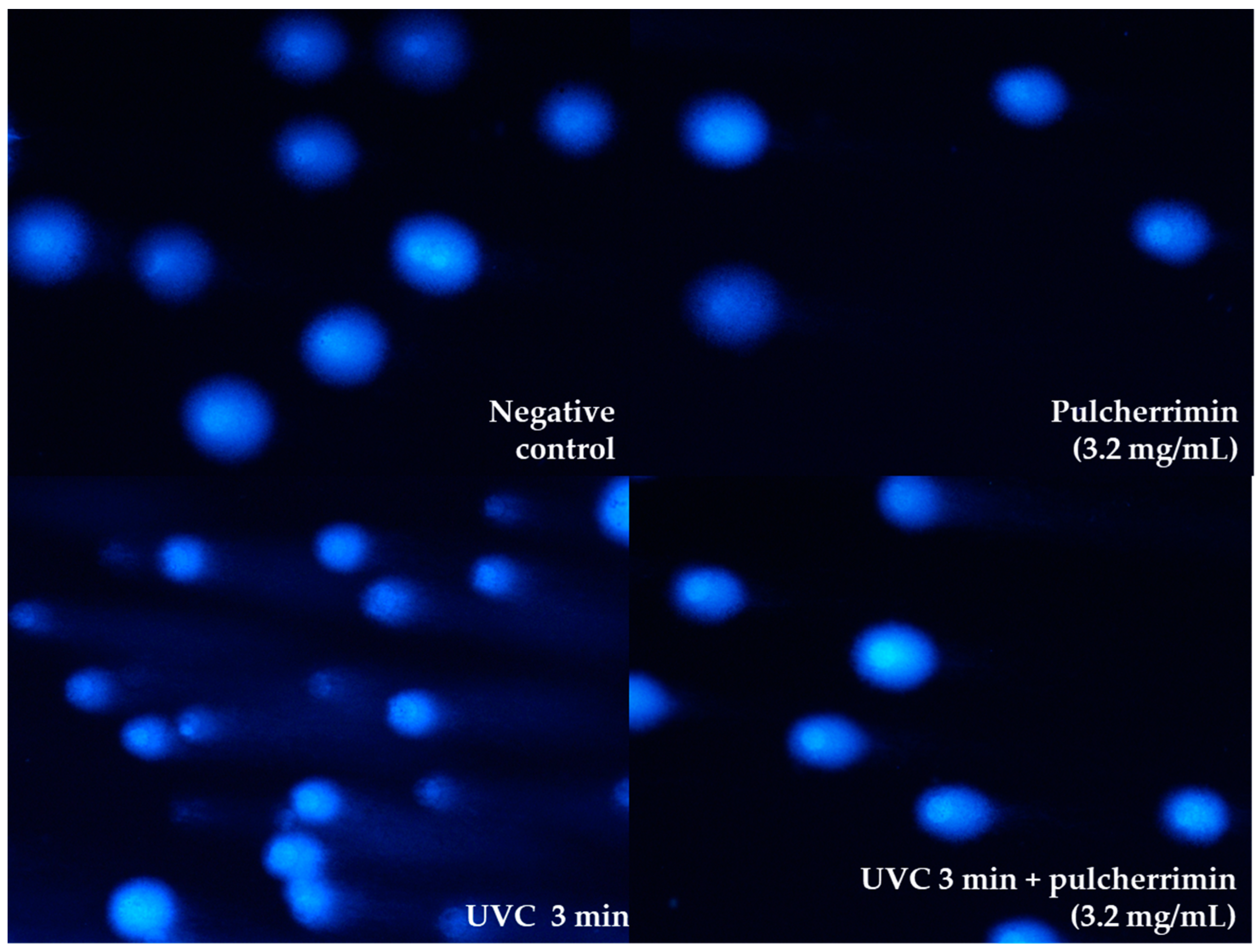 Molecules 29 04873 g006