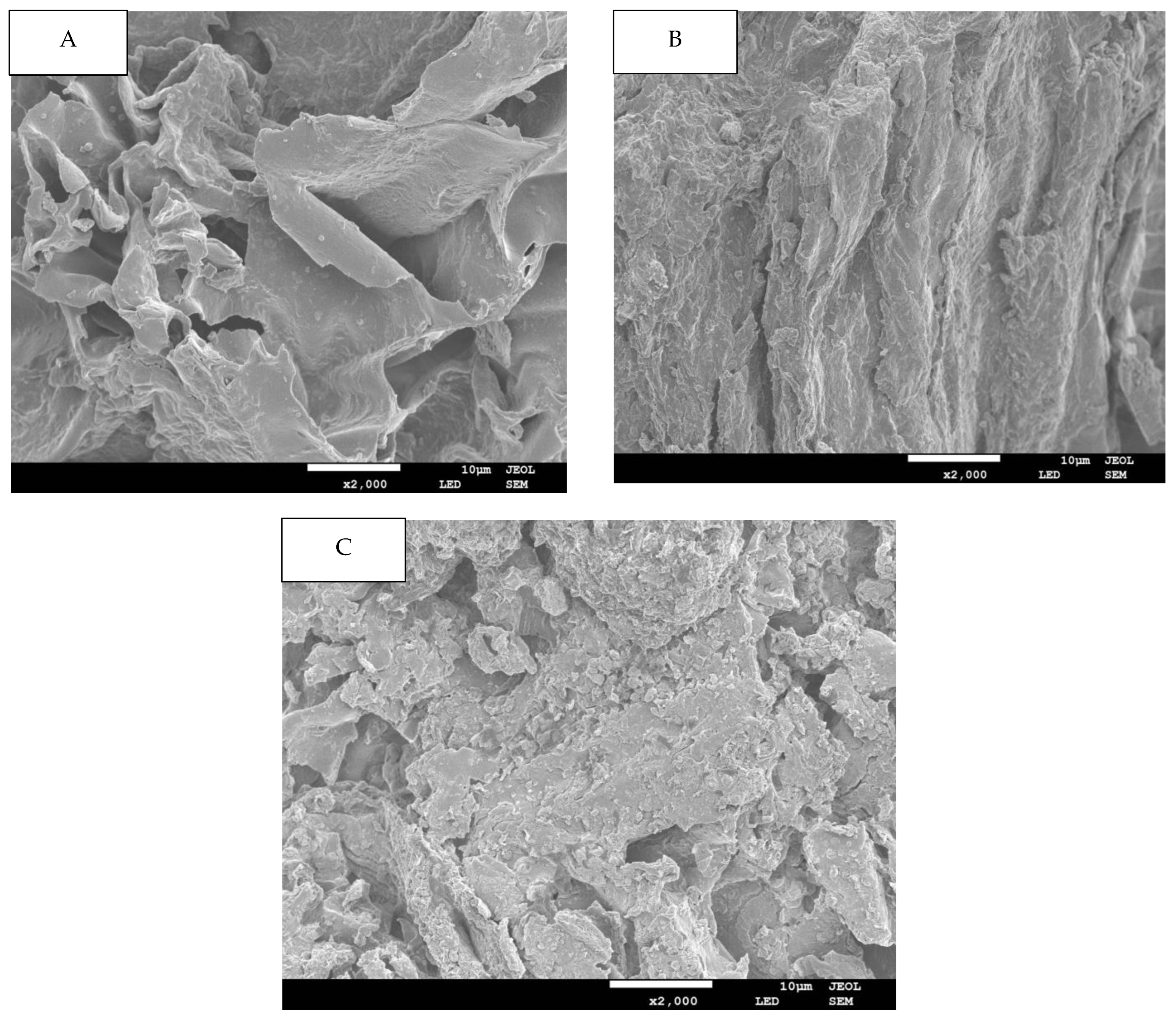 Molecules 29 04875 g001