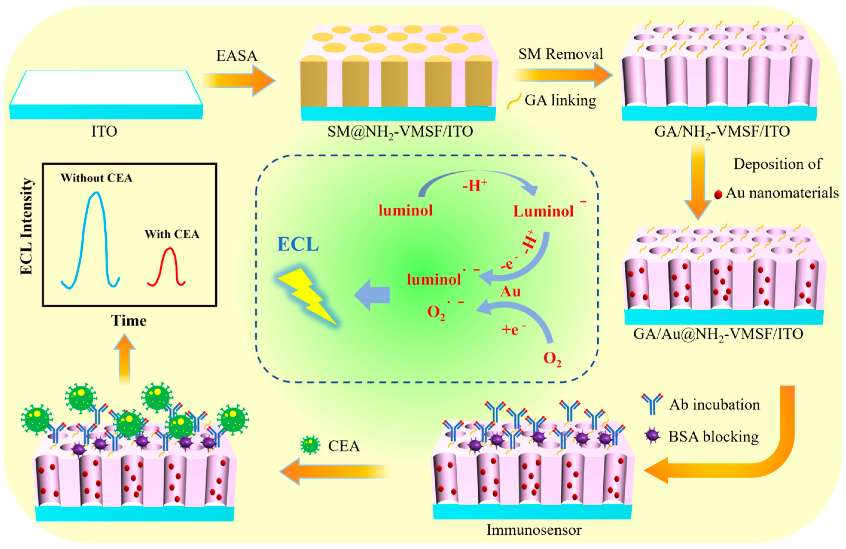 Molecules 29 04880 g001