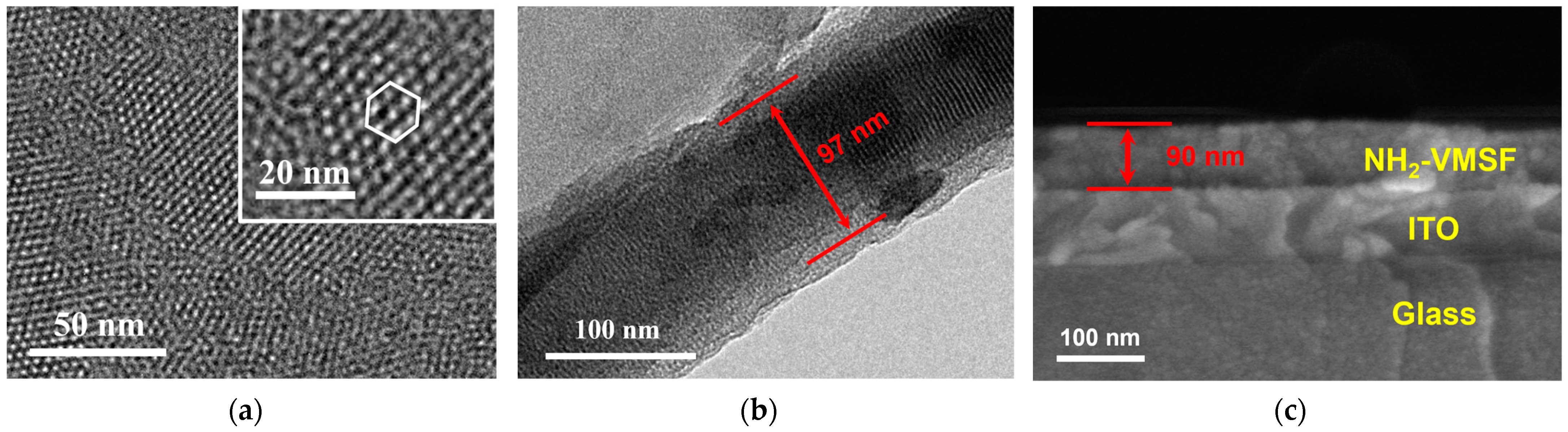 Molecules 29 04880 g002