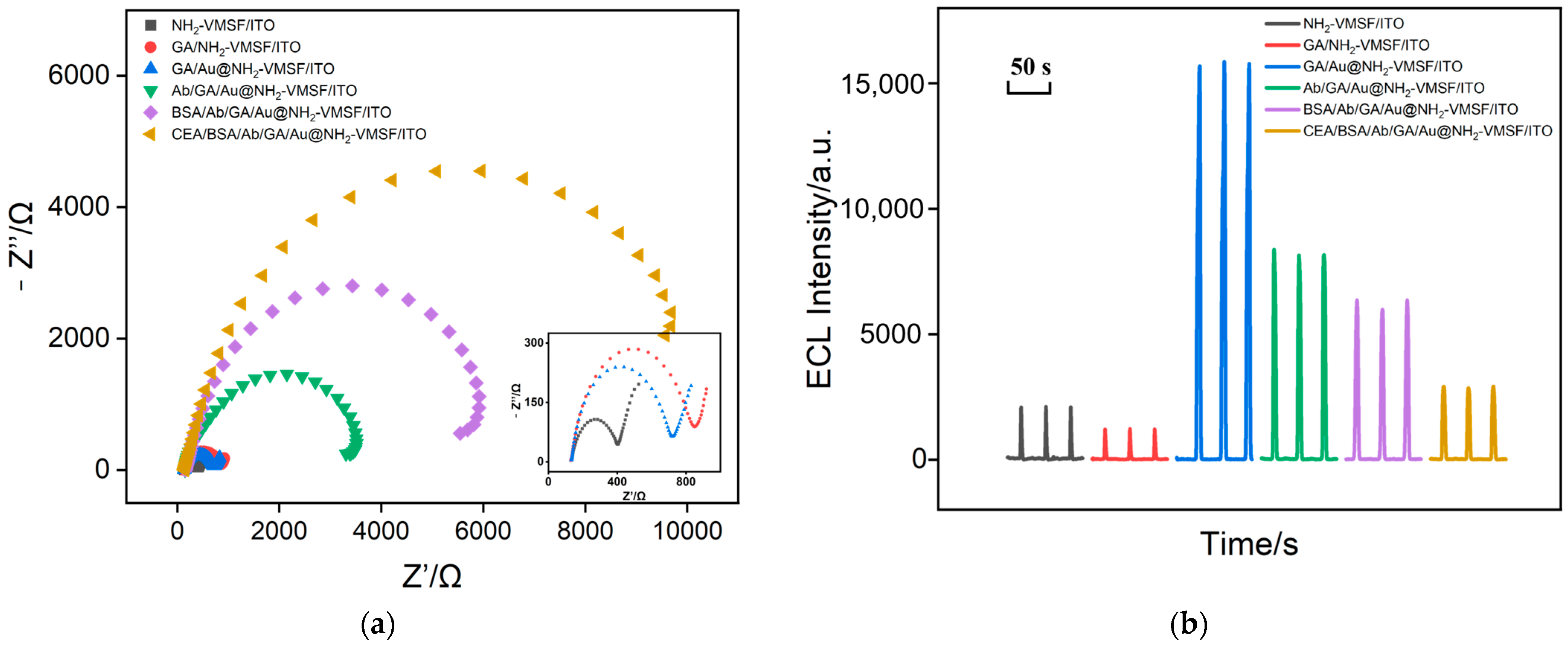 Molecules 29 04880 g005