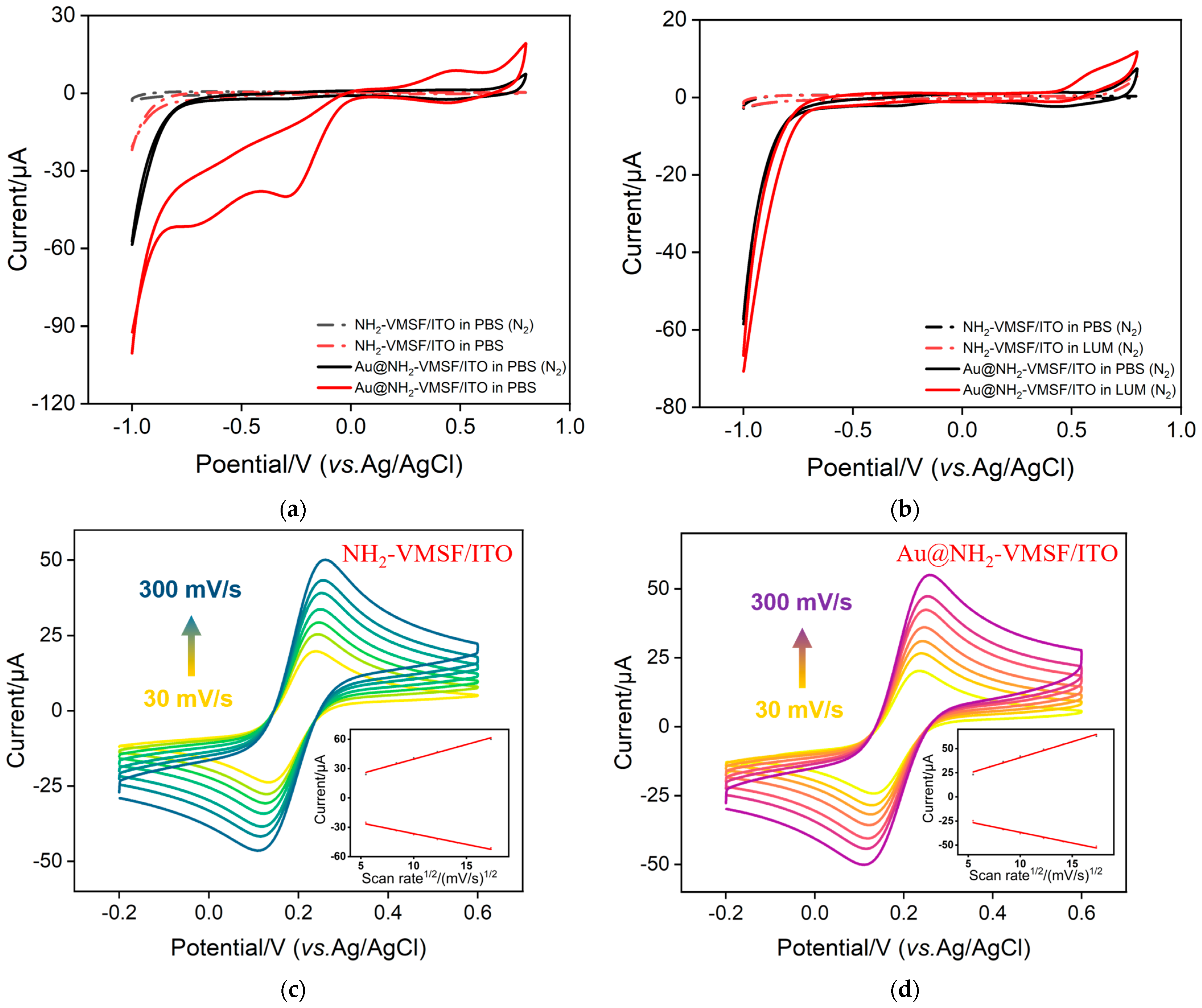 Molecules 29 04880 g006