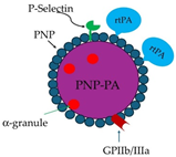 Molecules 29 04883 i006