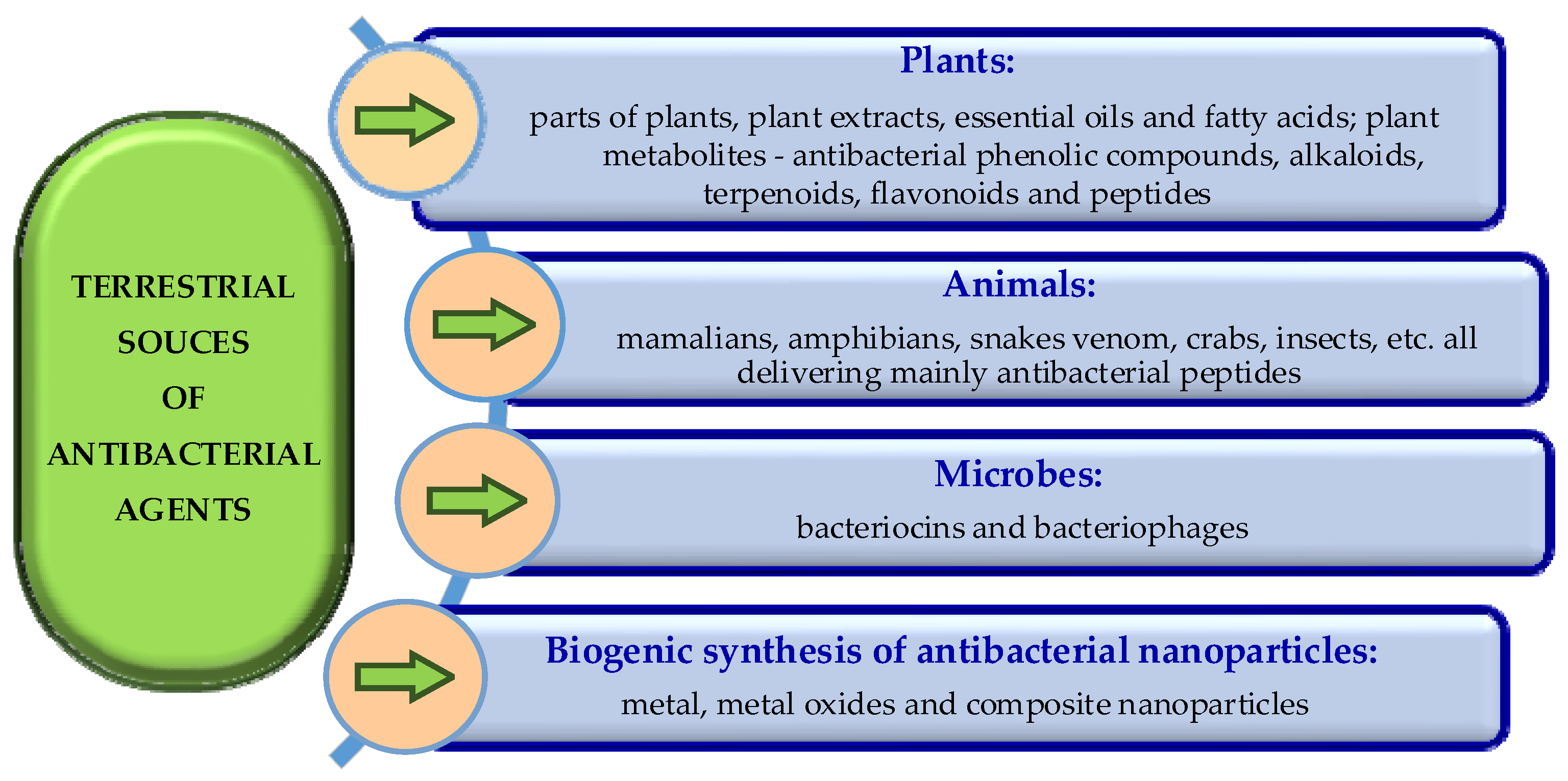 Molecules 29 04889 g002