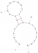 Molecules 29 04891 i006
