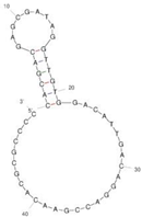 Molecules 29 04891 i012