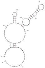 Molecules 29 04891 i015