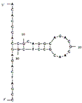 Molecules 29 04891 i016