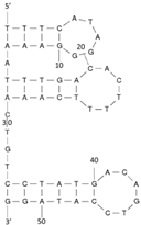 Molecules 29 04891 i017