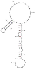 Molecules 29 04891 i018