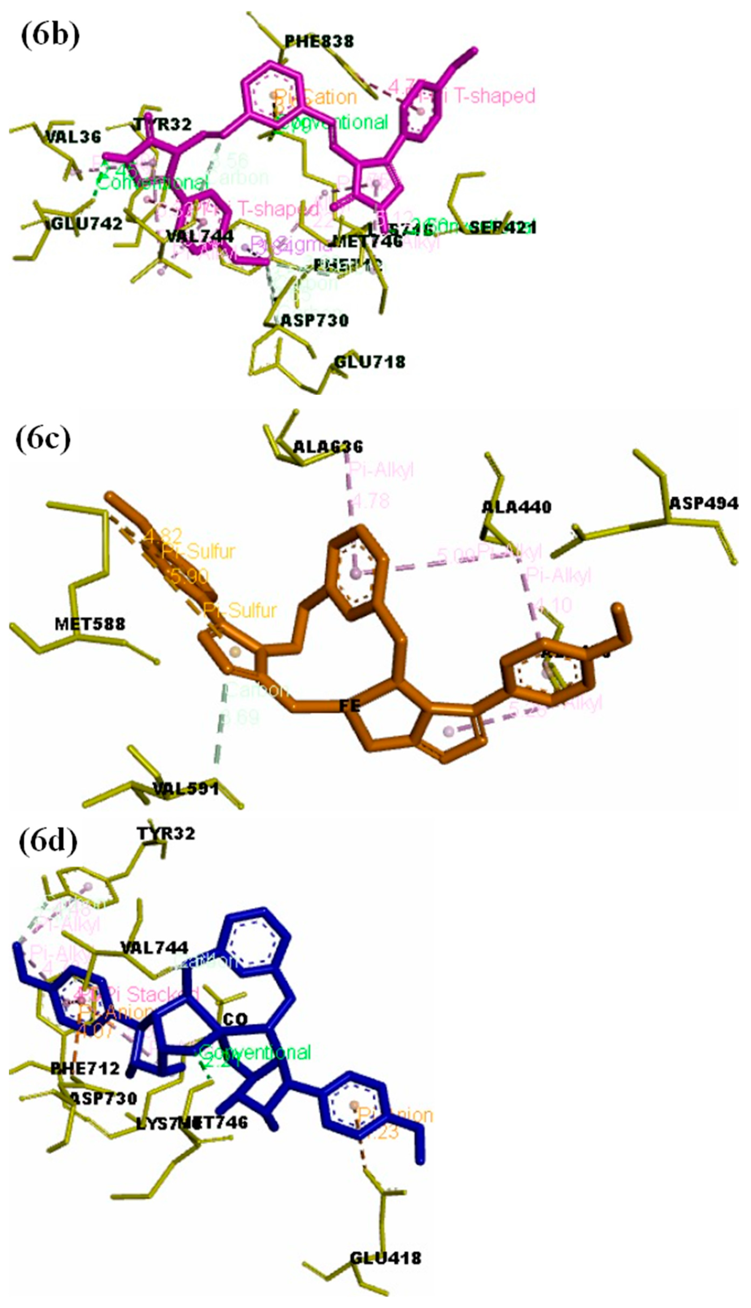 Molecules 29 04899 g006b