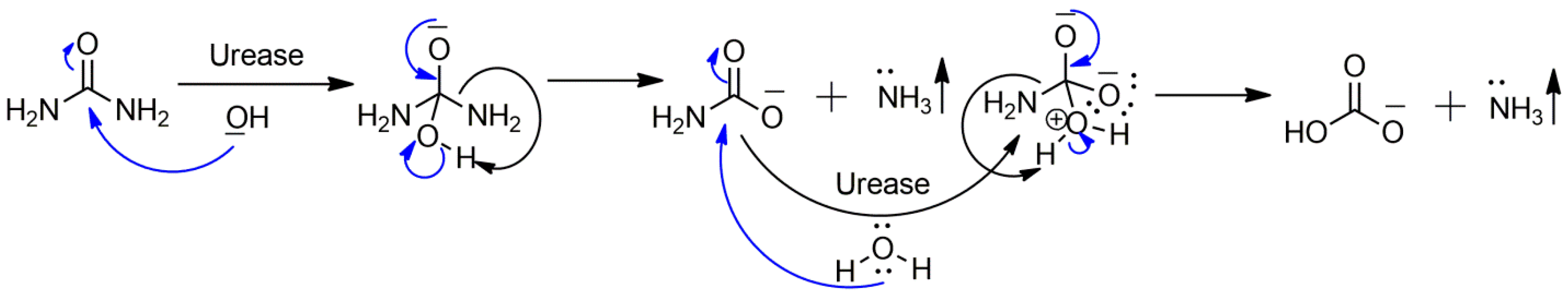Molecules 29 04899 sch001