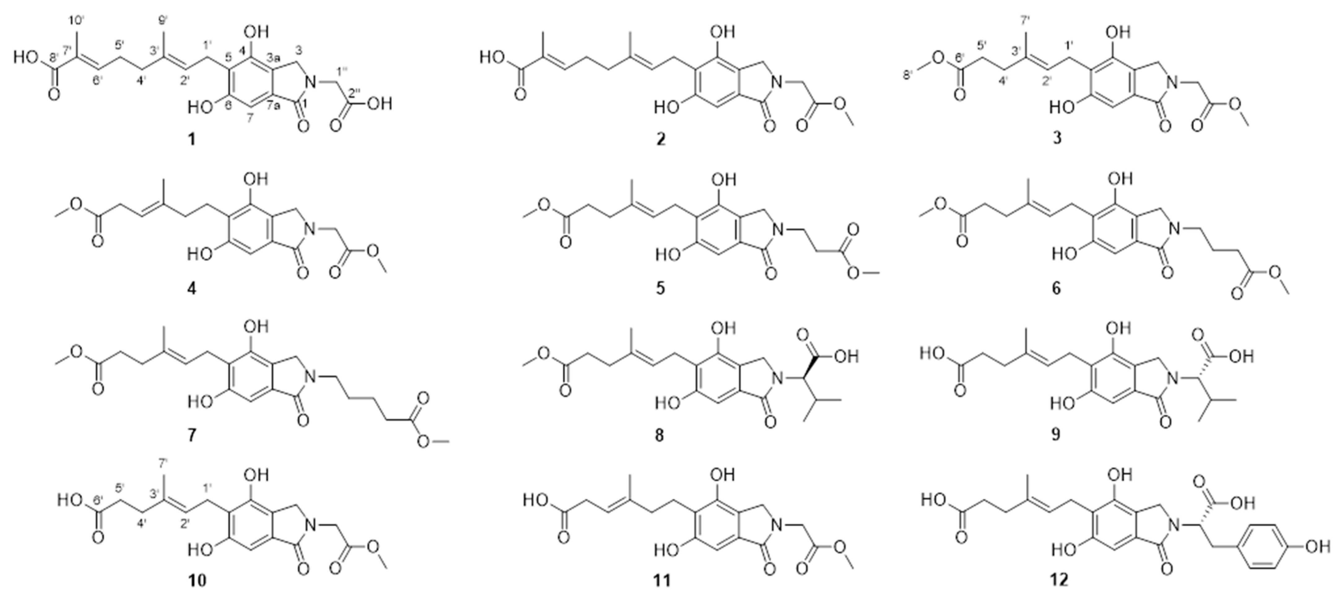Molecules 29 04901 g001
