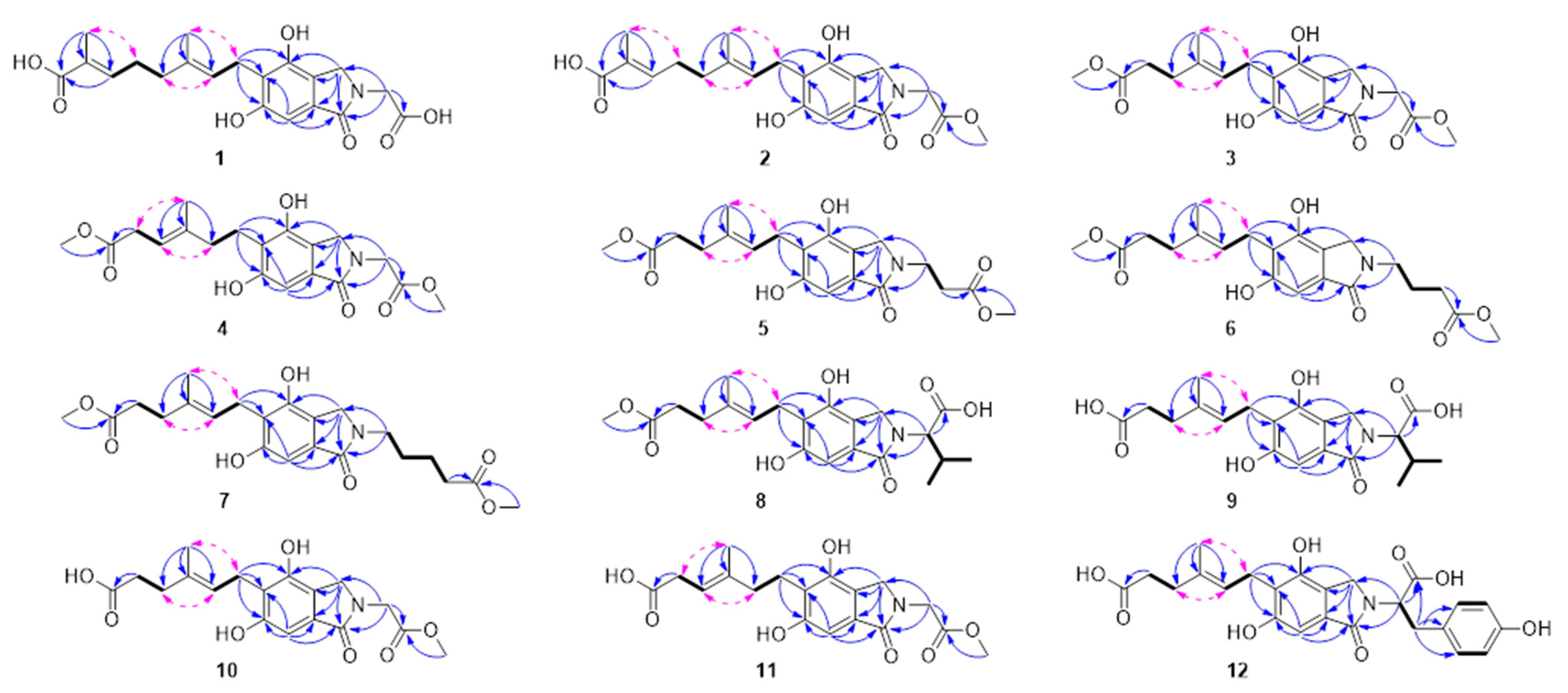 Molecules 29 04901 g002