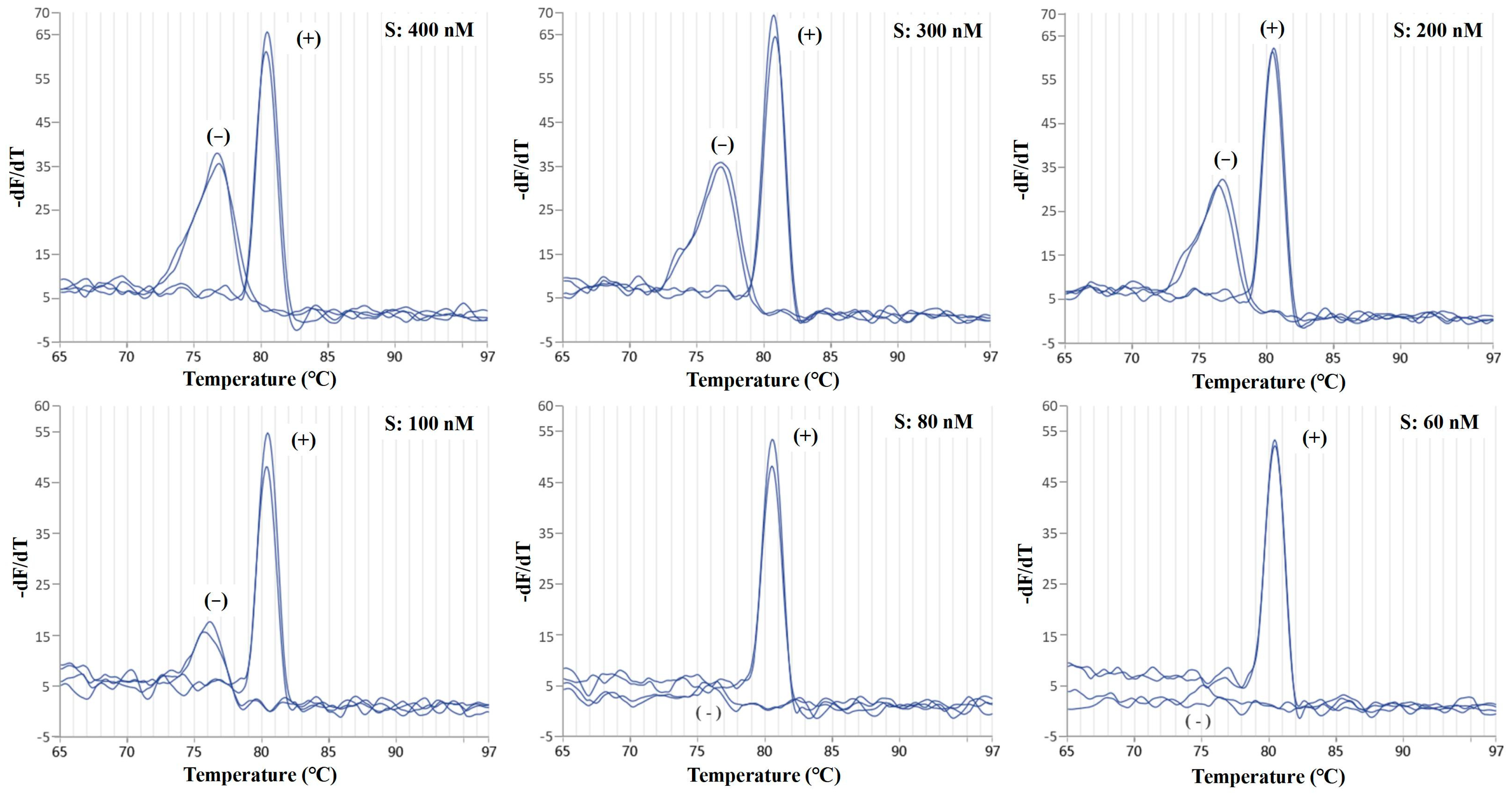 Molecules 29 04904 g001