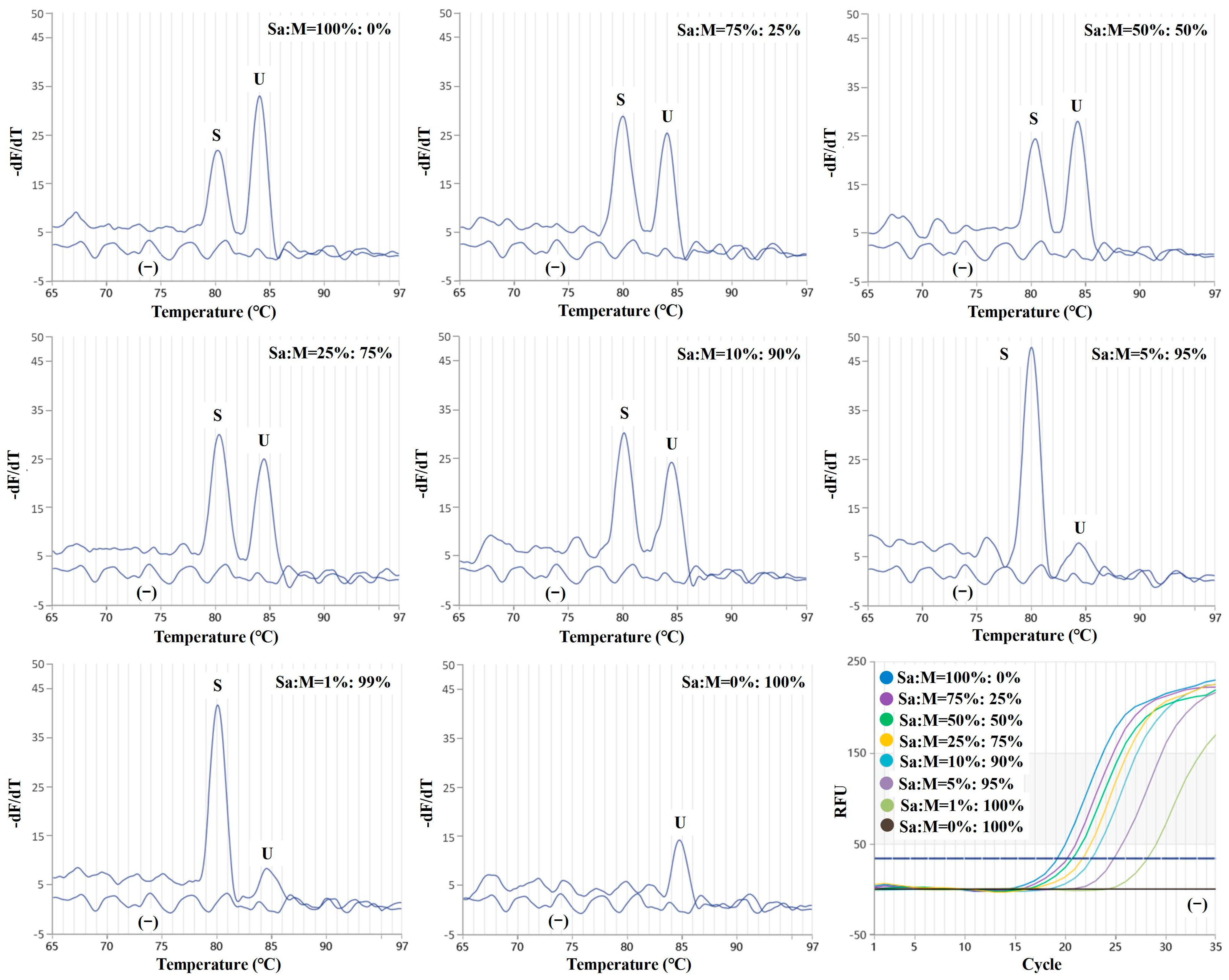 Molecules 29 04904 g003