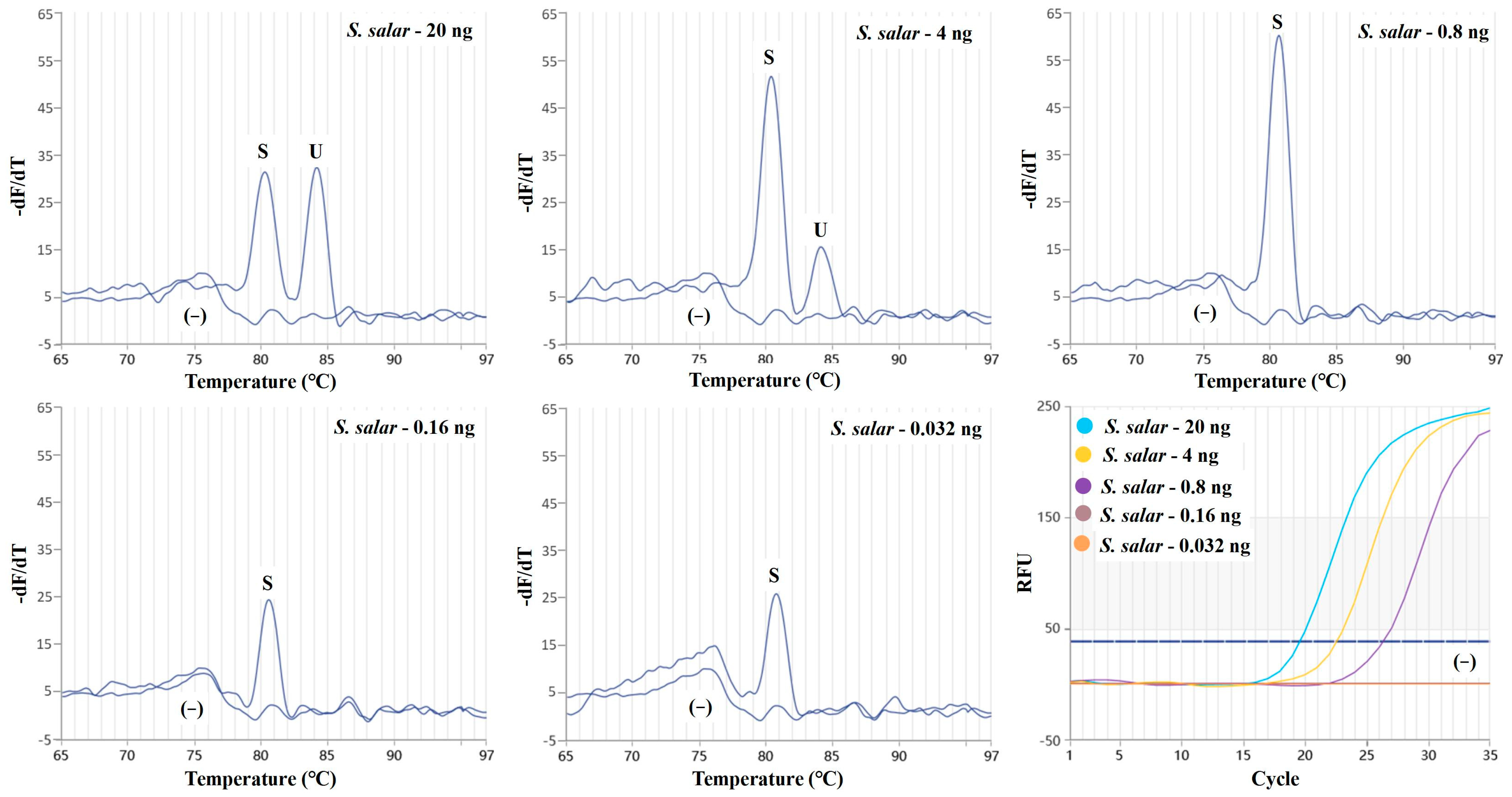 Molecules 29 04904 g004