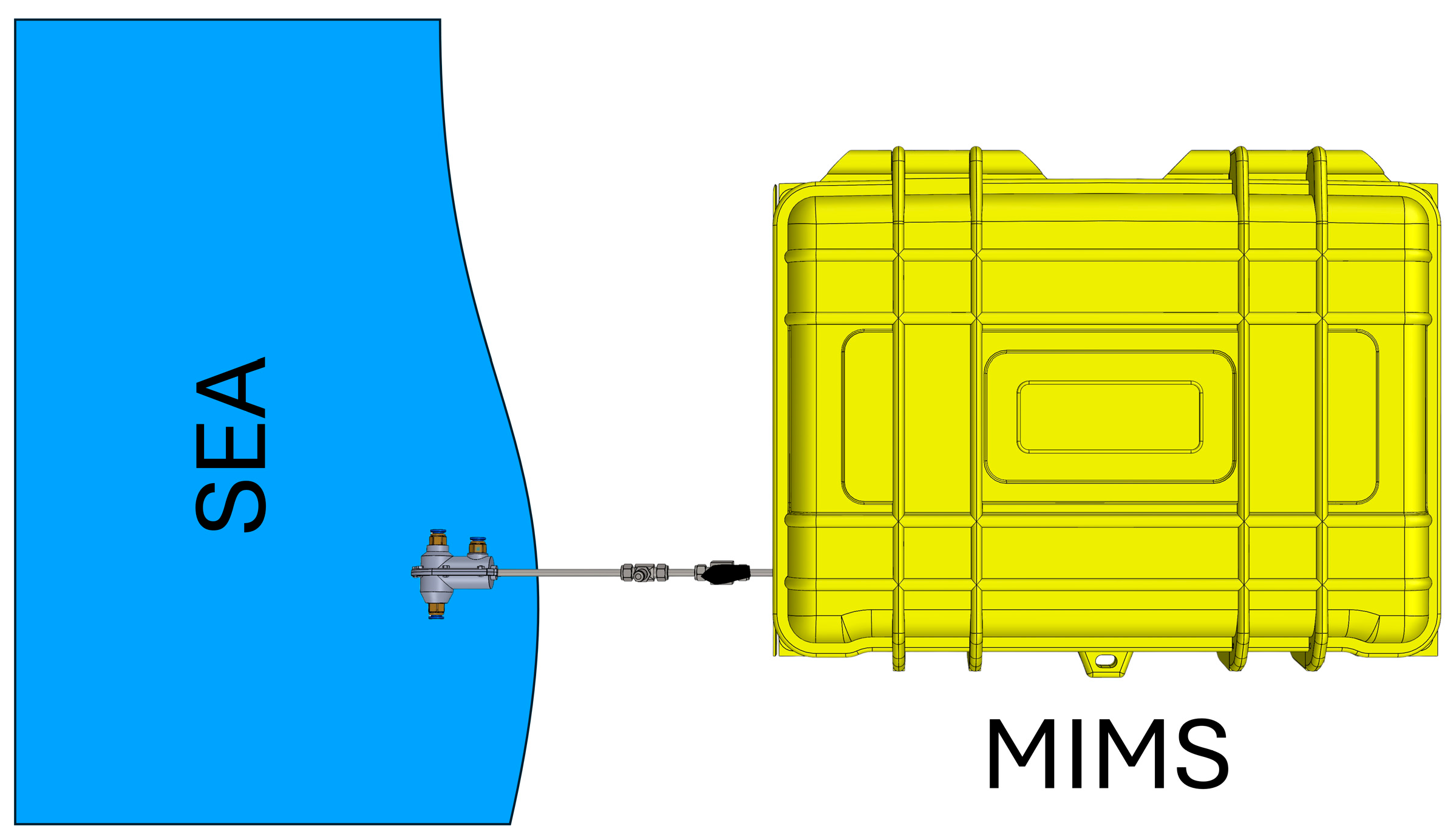 Molecules 29 04908 g003