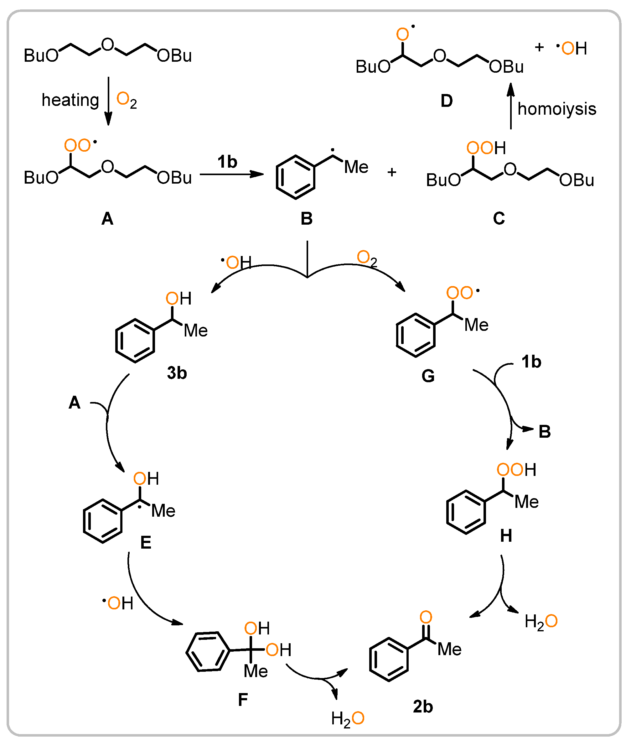Molecules 29 04909 g003