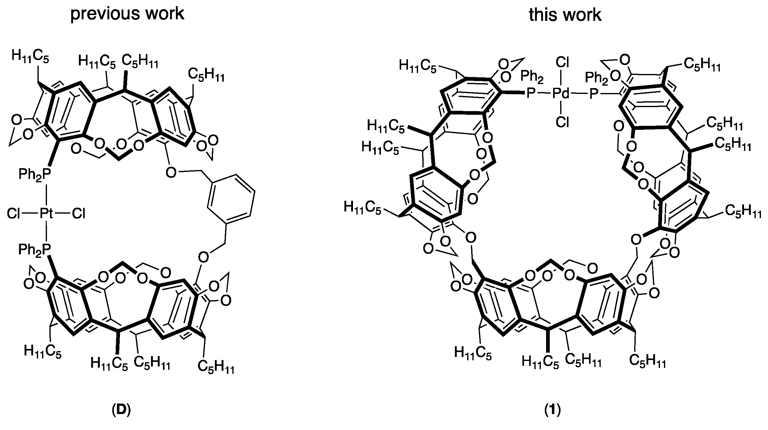 Molecules 29 04910 g002 Molecules 29 04910 g002