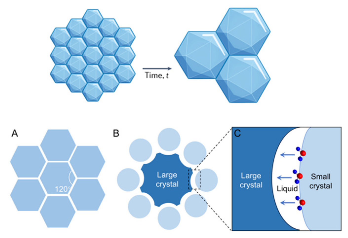 Molecules 29 04913 g001