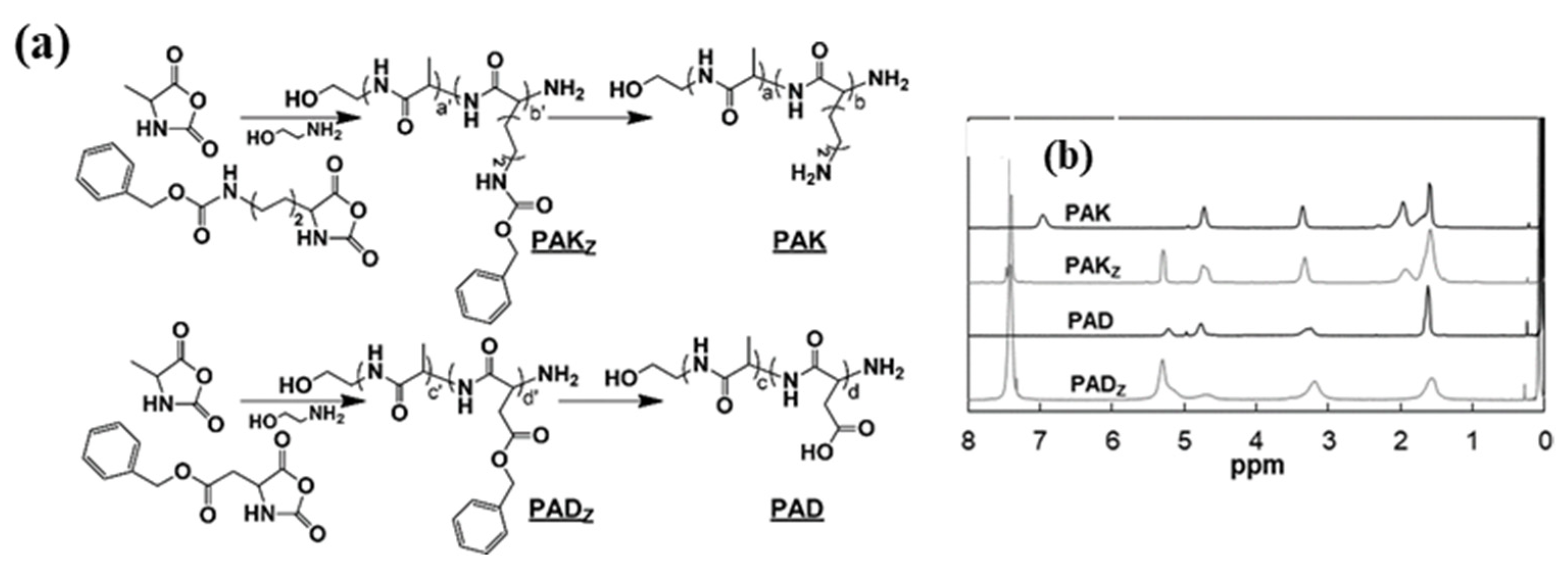 Molecules 29 04913 g004