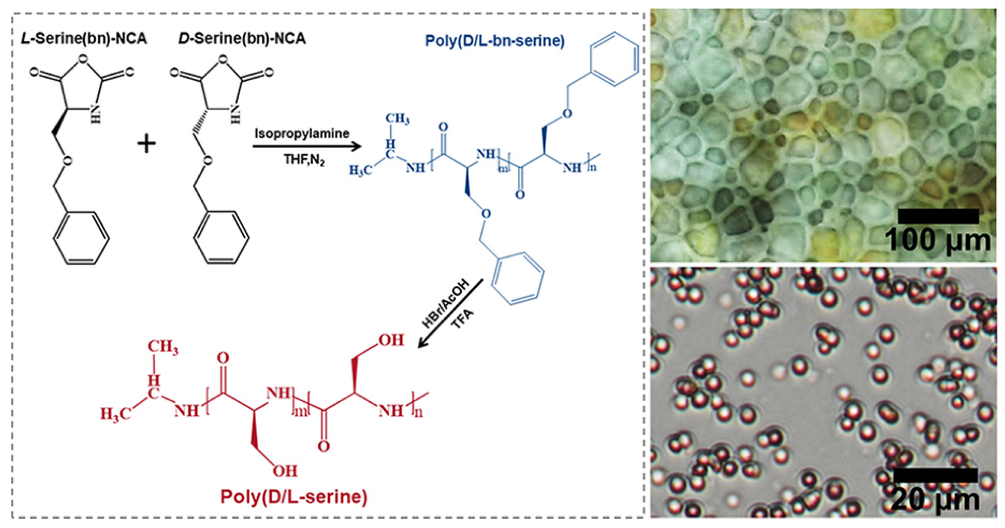 Molecules 29 04913 g007