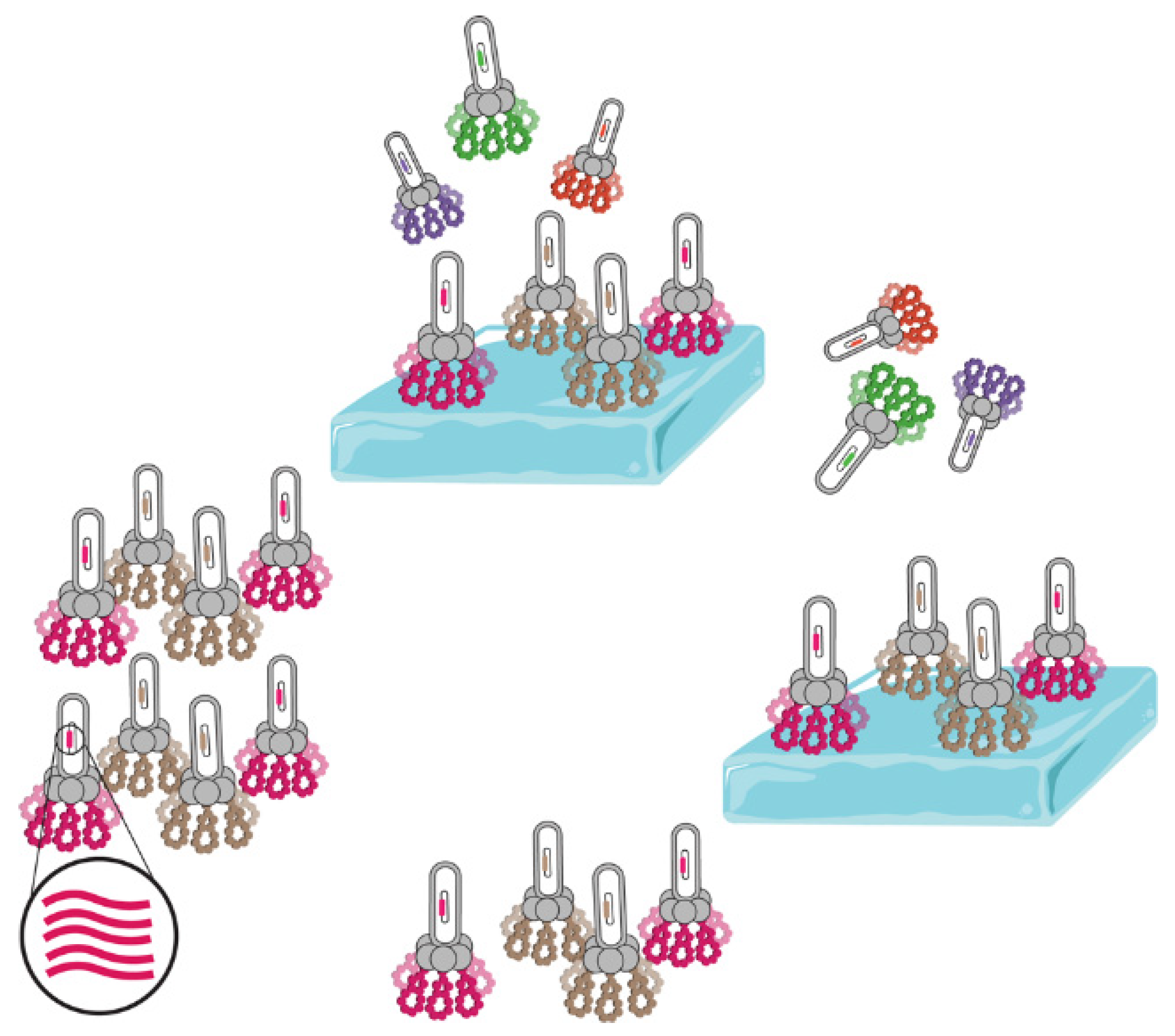Molecules 29 04913 g008