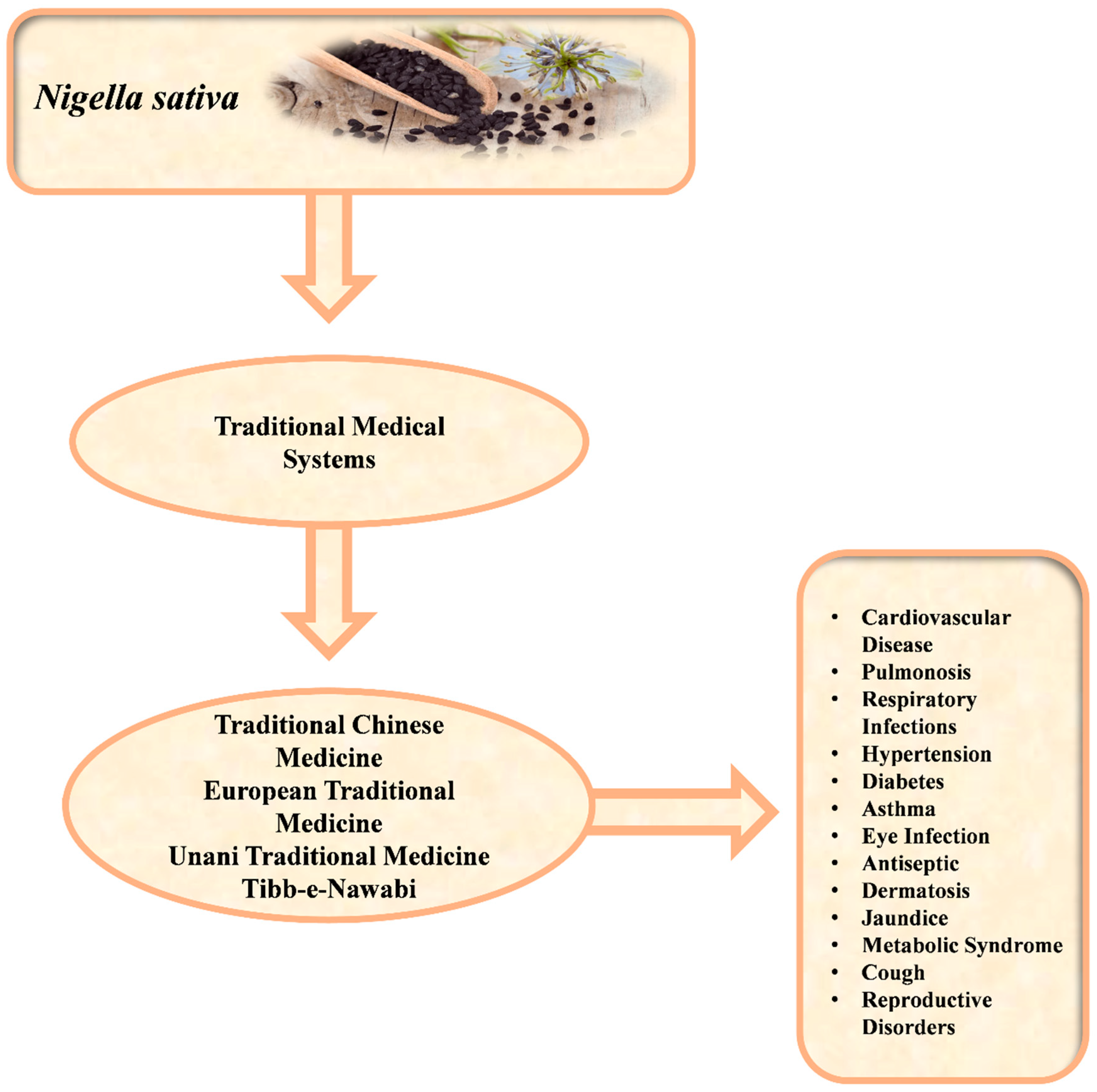 Molecules 29 04914 g001