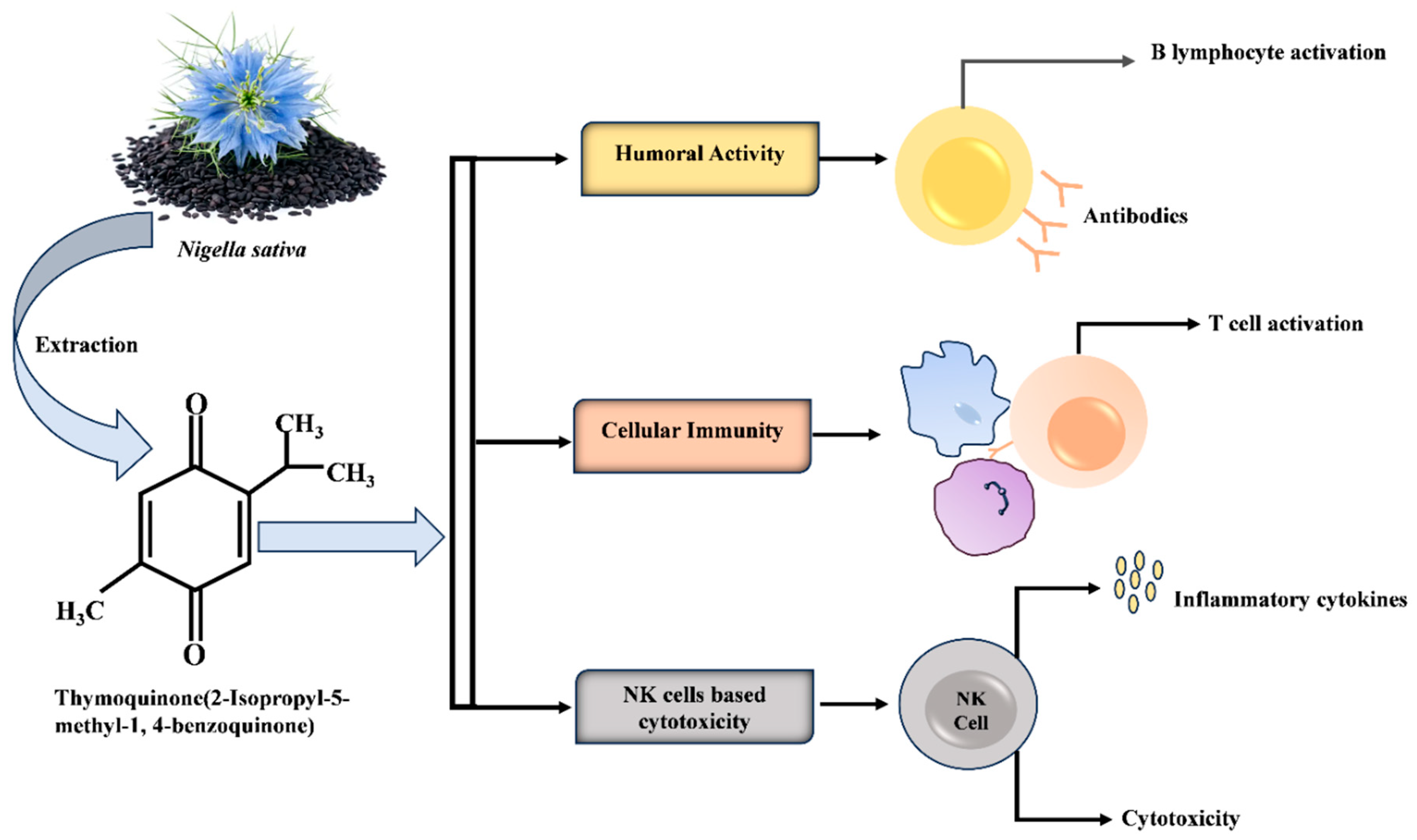 Molecules 29 04914 g003