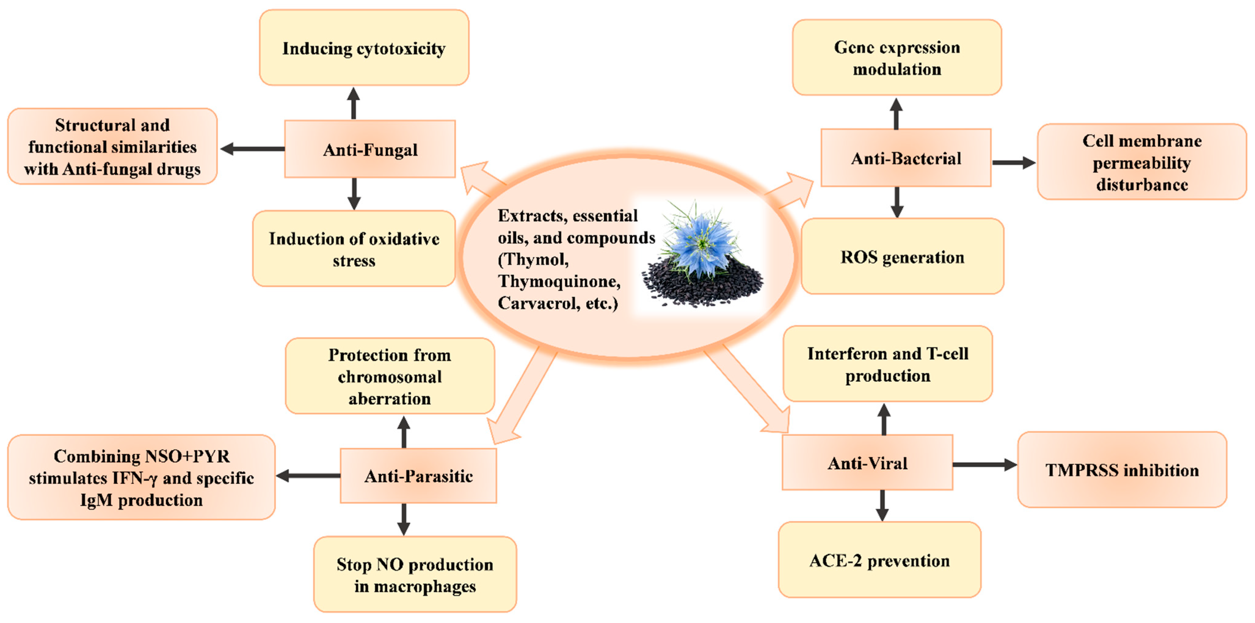 Molecules 29 04914 g004