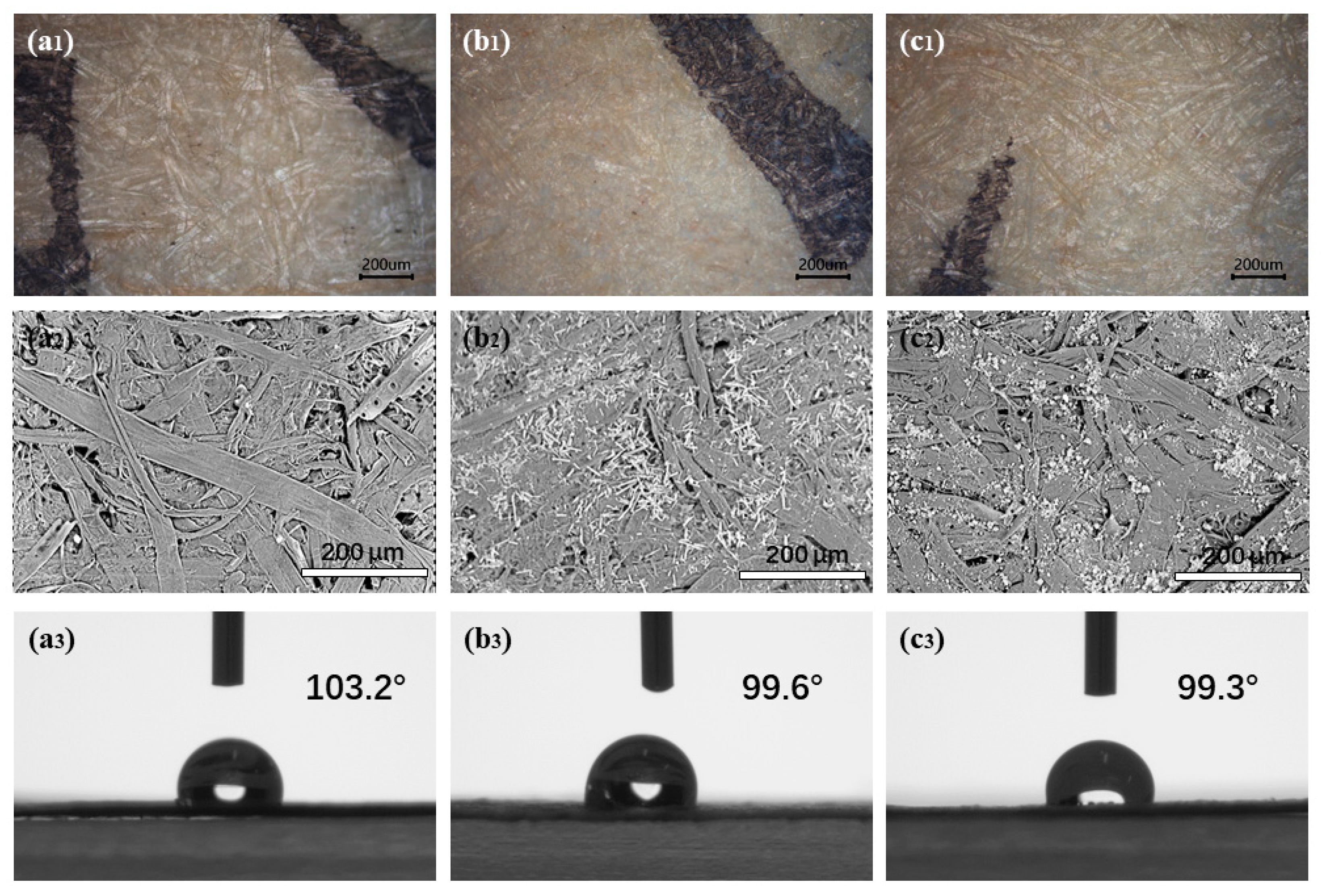 Molecules 29 04921 g003