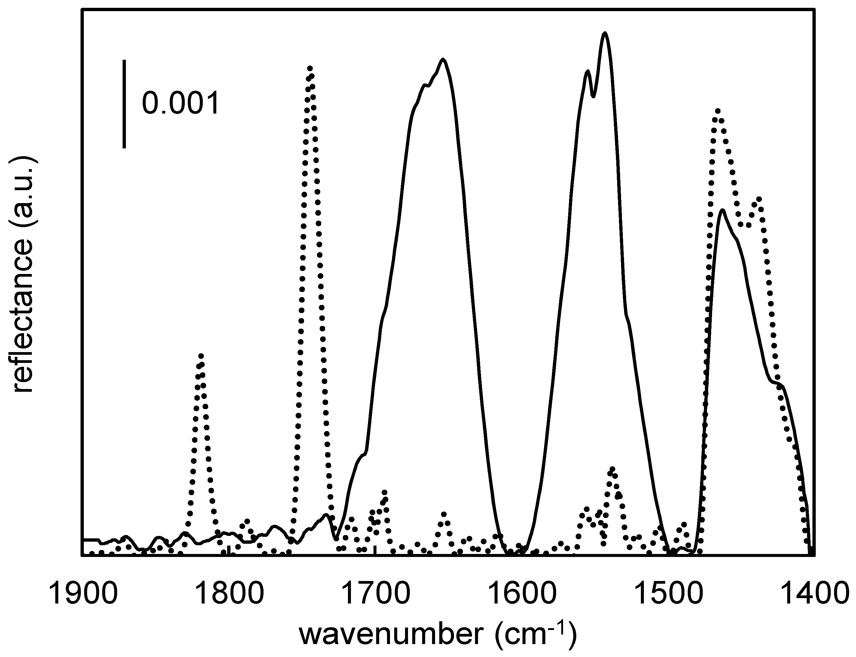 Molecules 29 04927 g003 Molecules 29 04927 g003