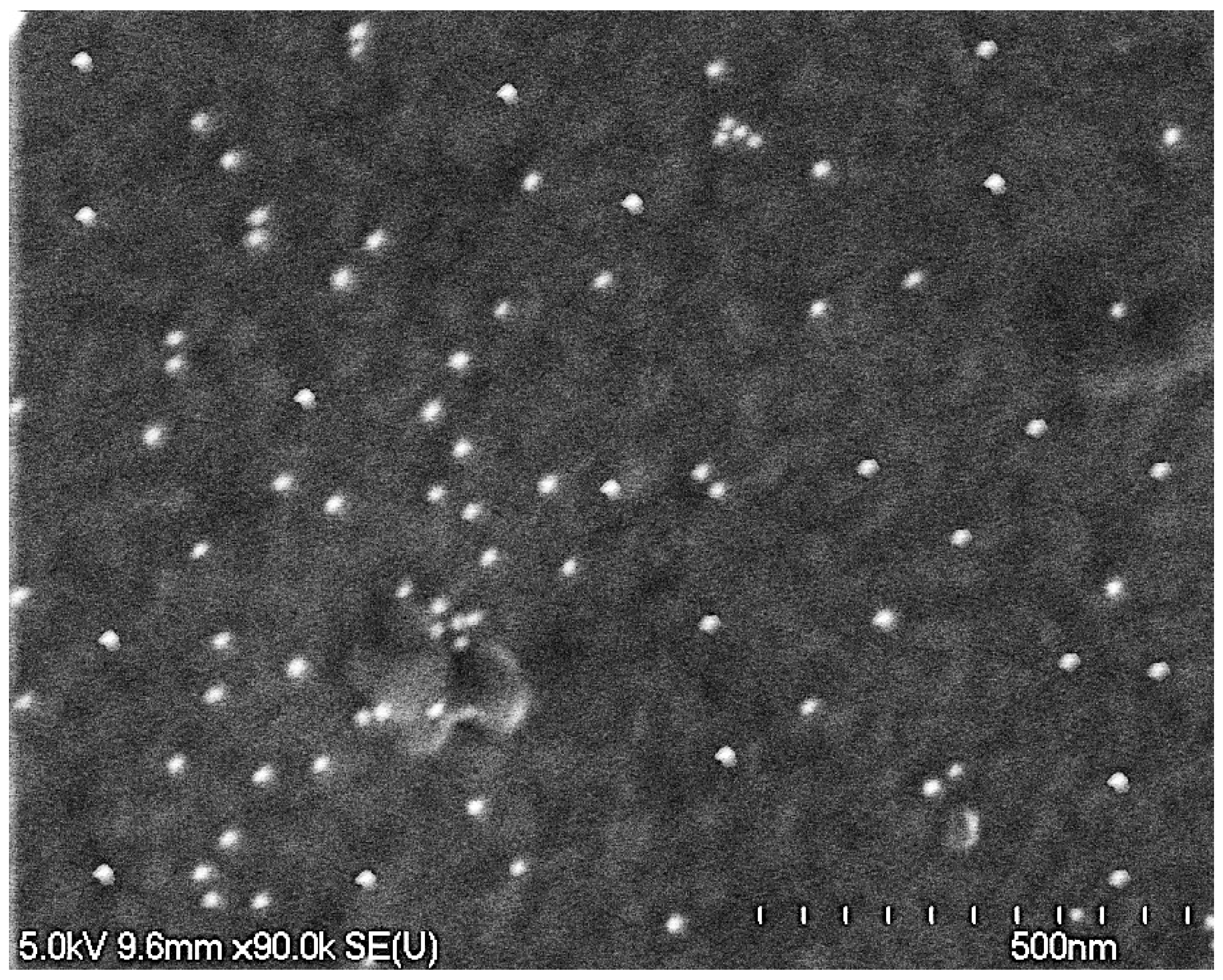 Molecules 29 04927 g006 Molecules 29 04927 g006