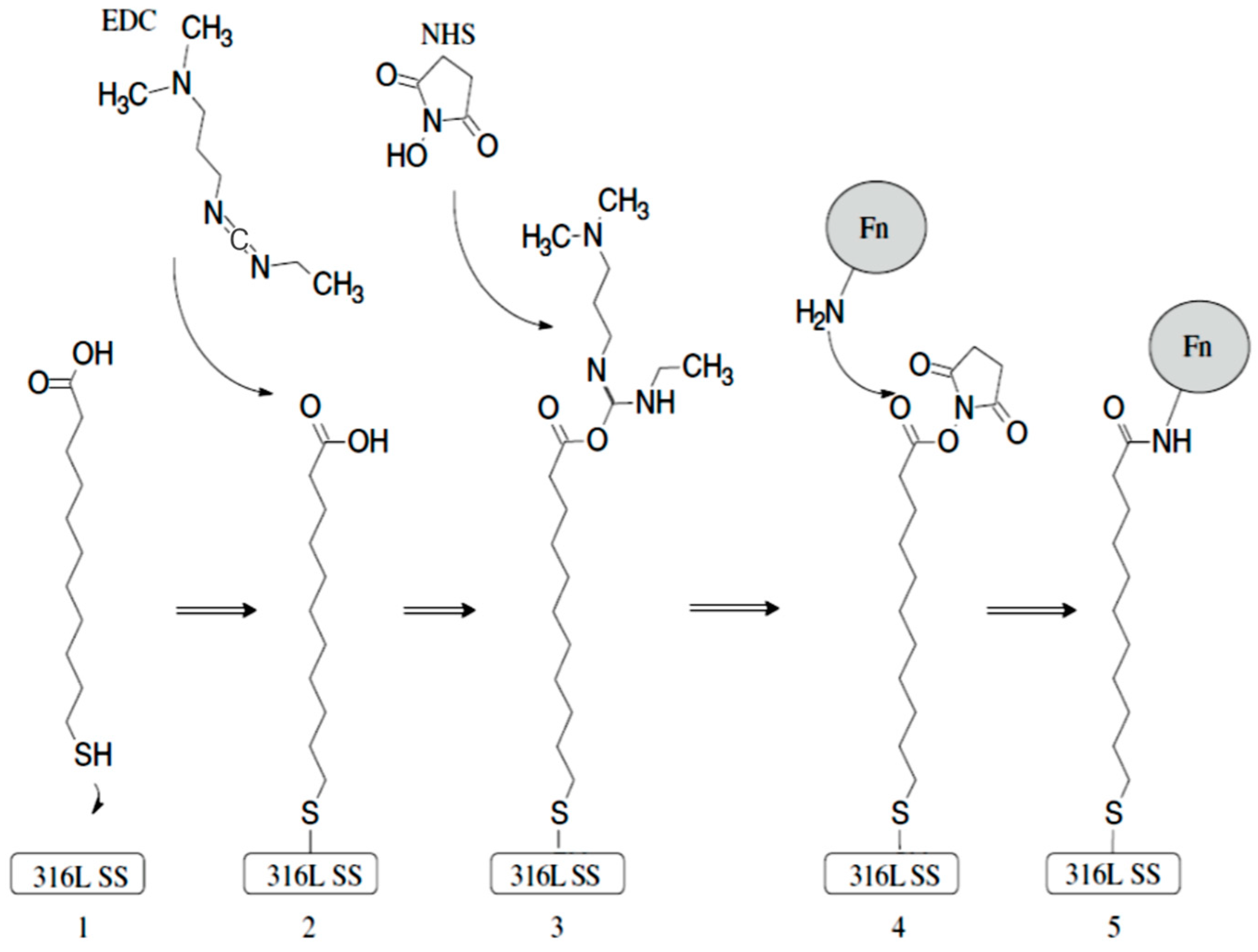 Molecules 29 04927 sch001 Molecules 29 04927 sch001