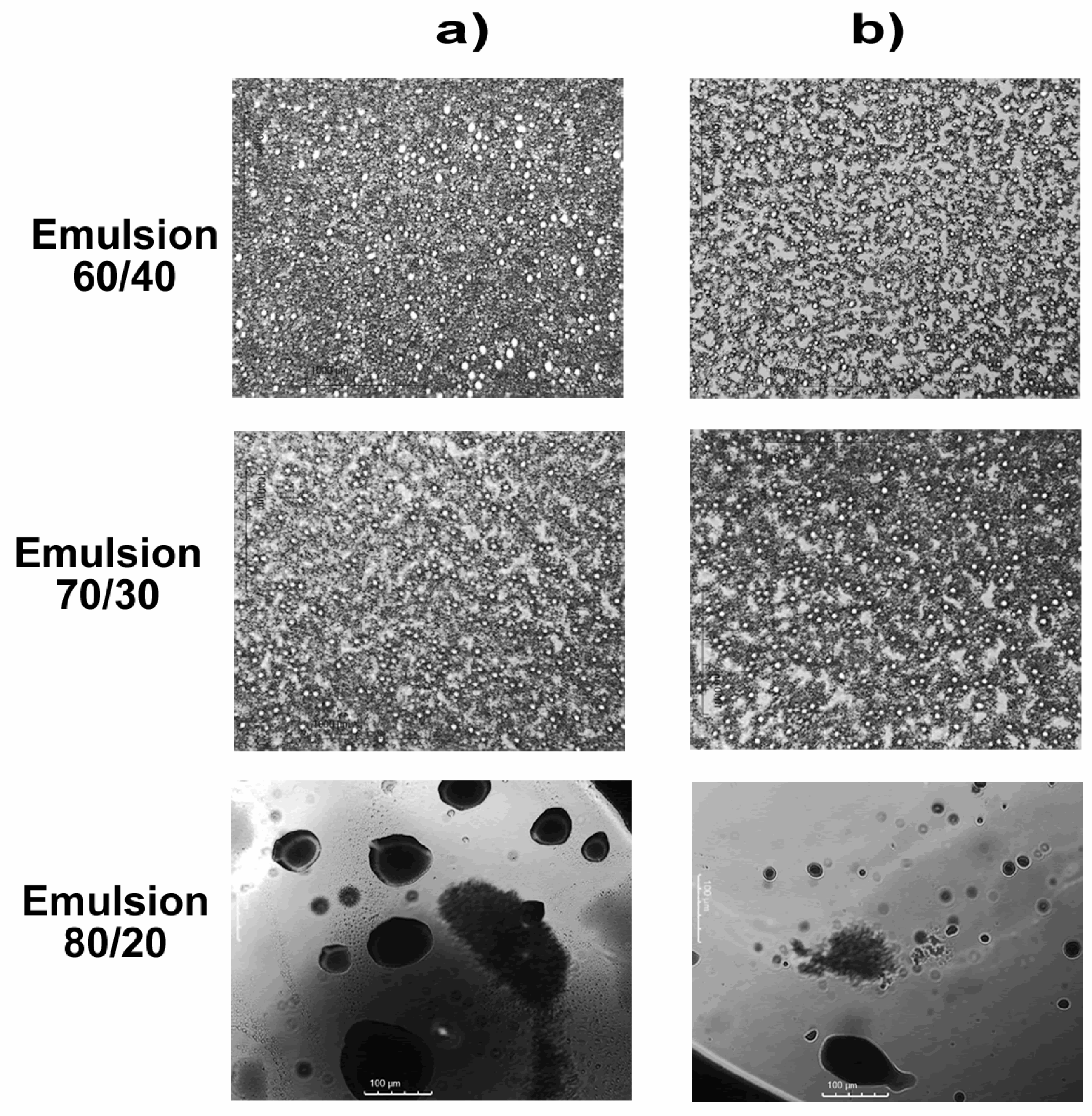 Molecules 29 04937 g008 Molecules 29 04937 g008
