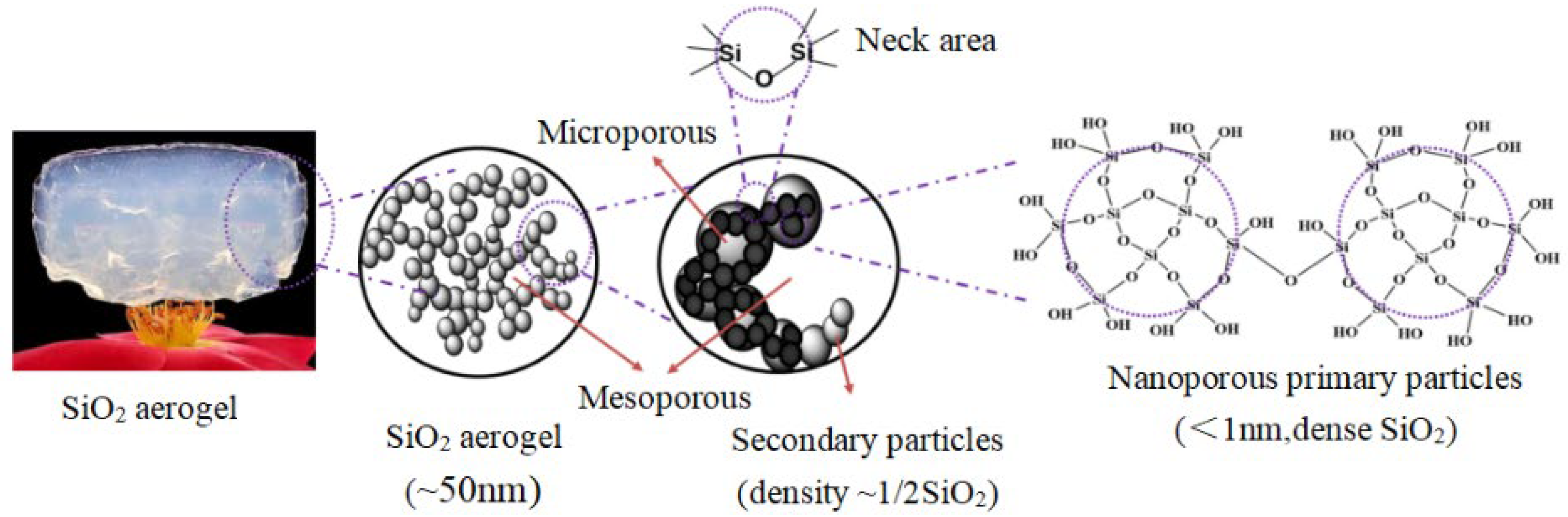 Molecules 29 04942 g001