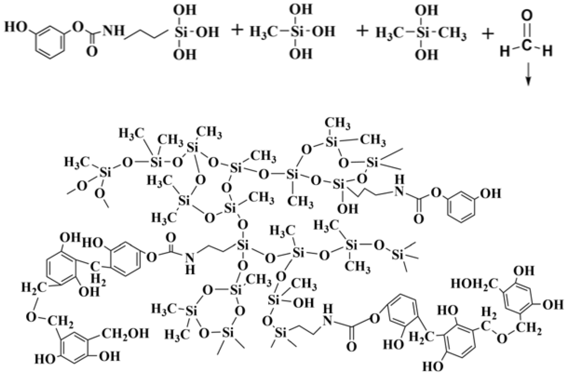 Molecules 29 04942 g010