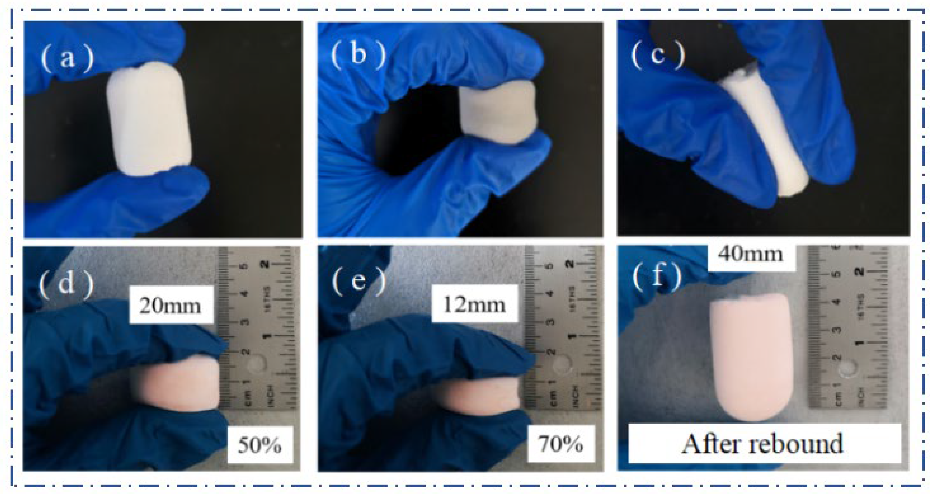 Molecules 29 04942 g012