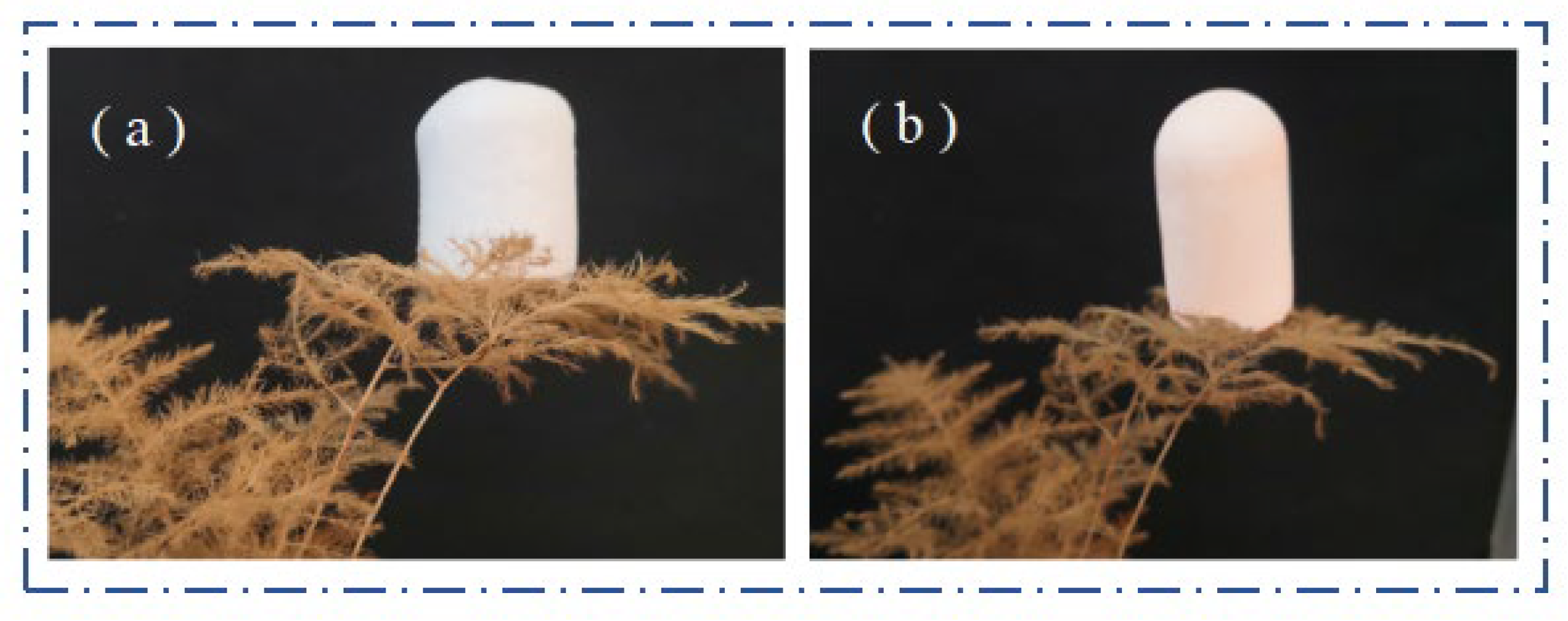 Molecules 29 04942 g013