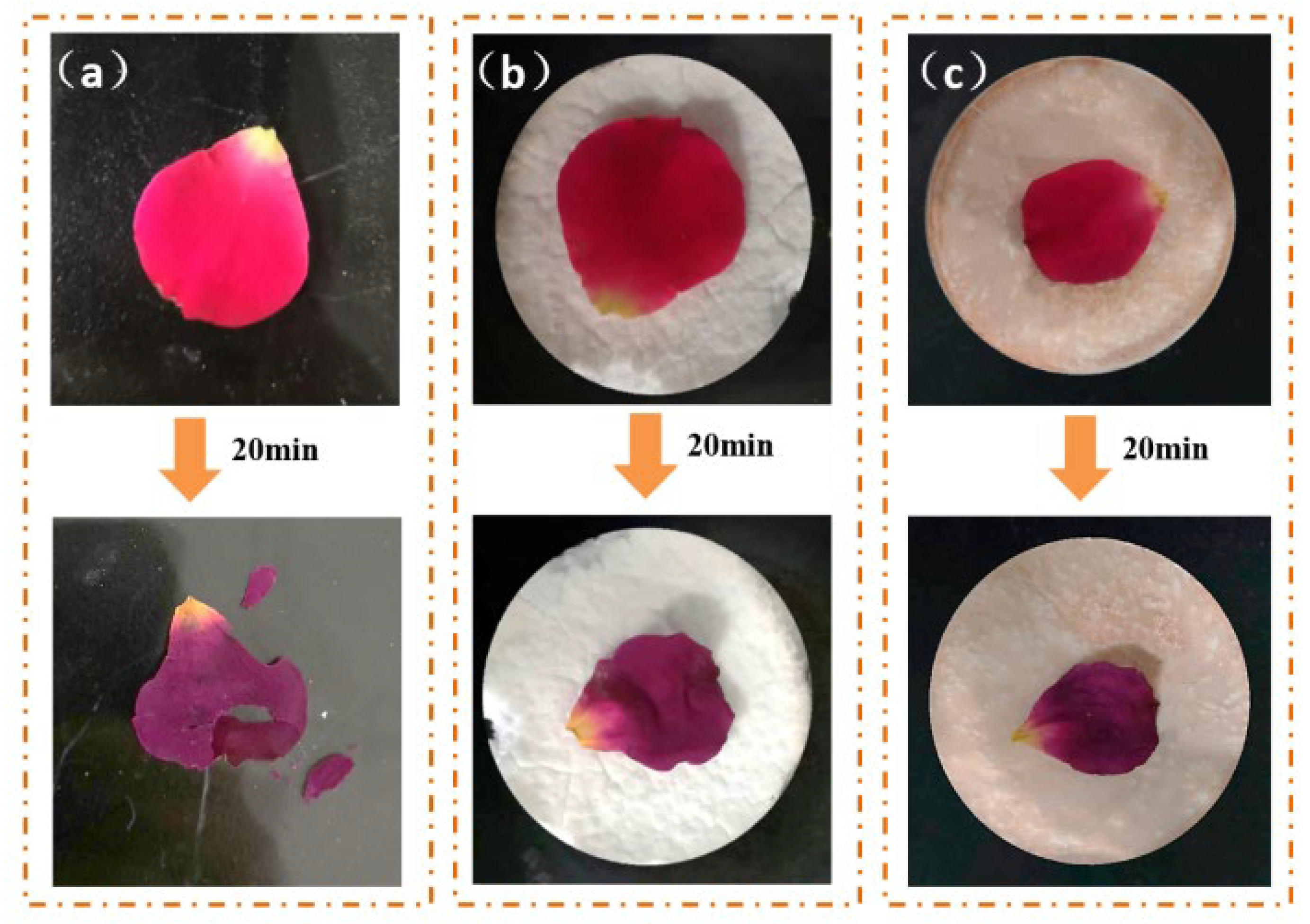 Molecules 29 04942 g015