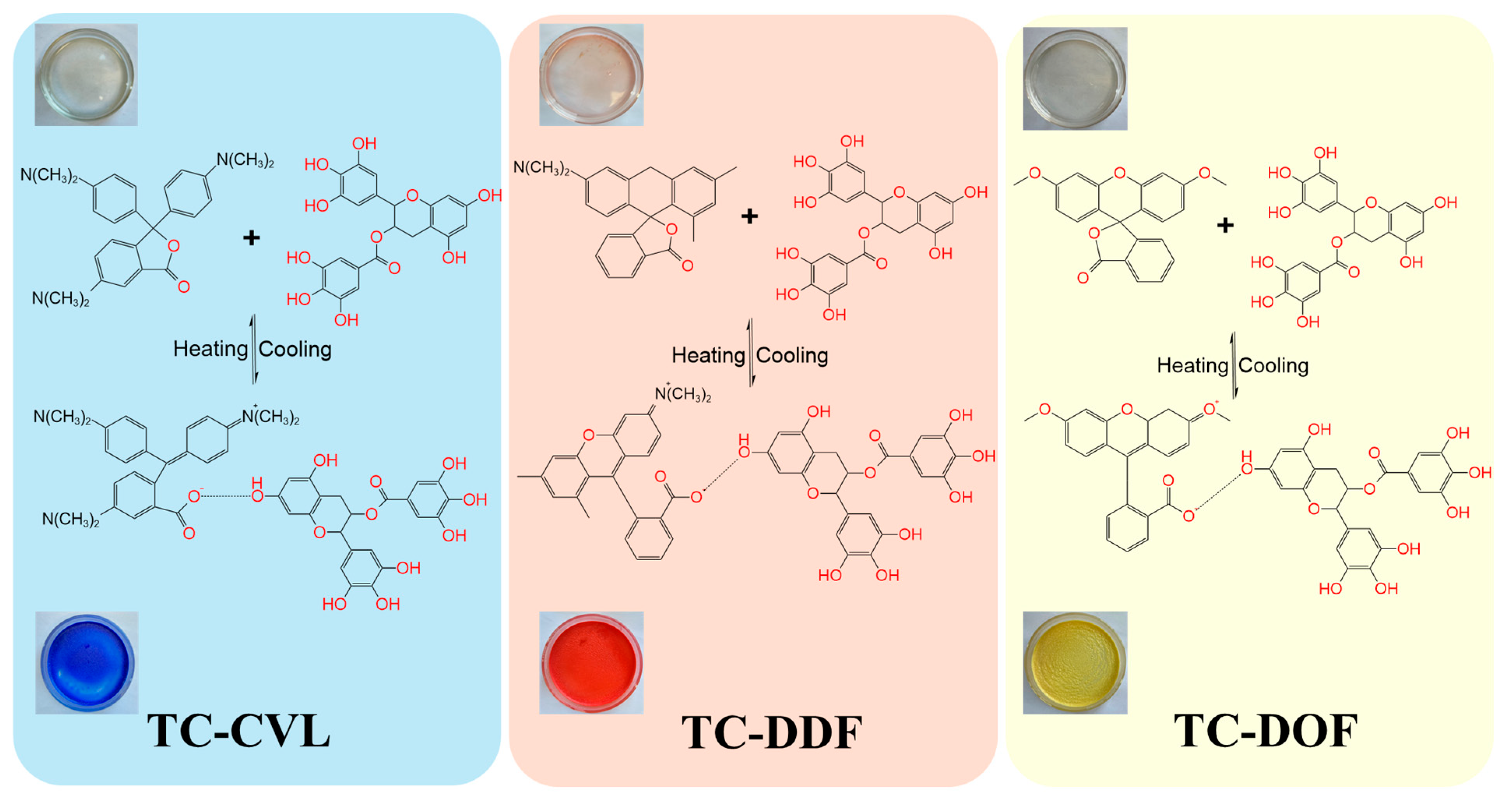 Molecules 29 04944 g004