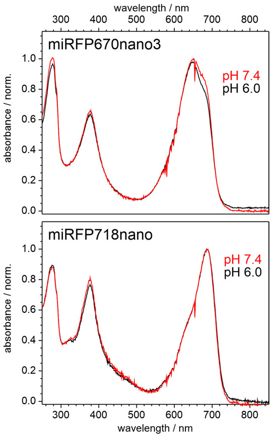 Molecules 29 04948 g0a3