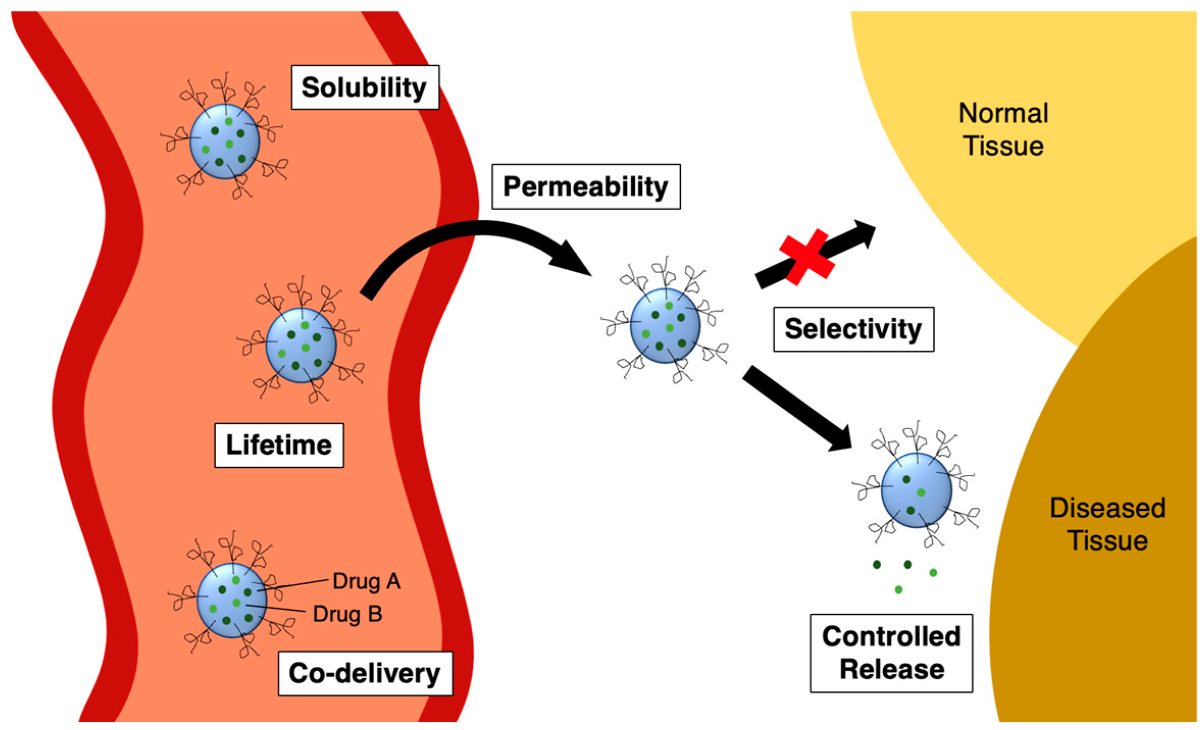 Molecules 29 04949 g004