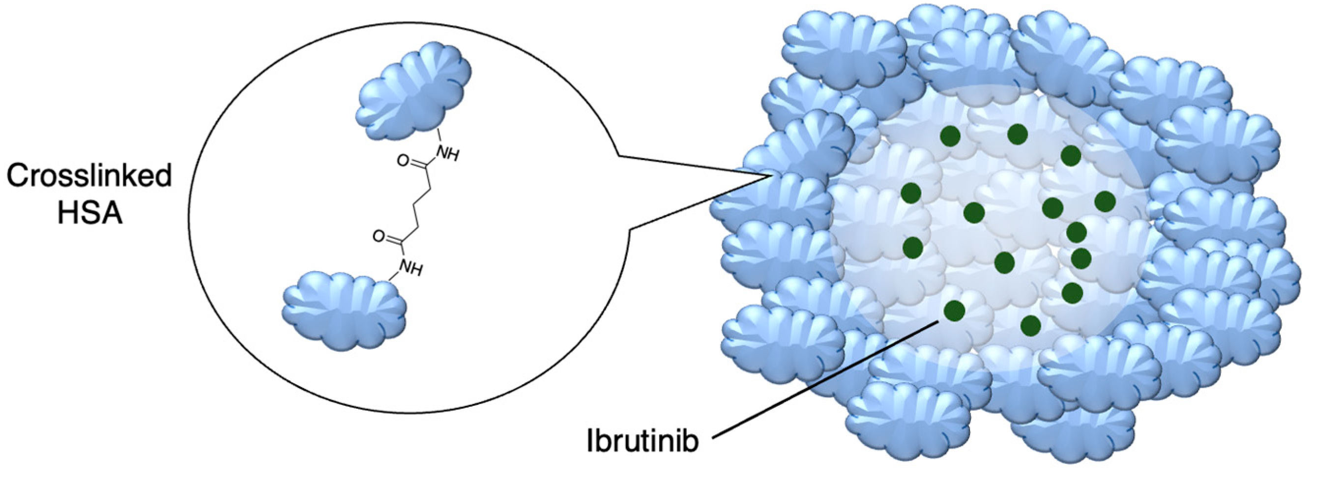 Molecules 29 04949 g007