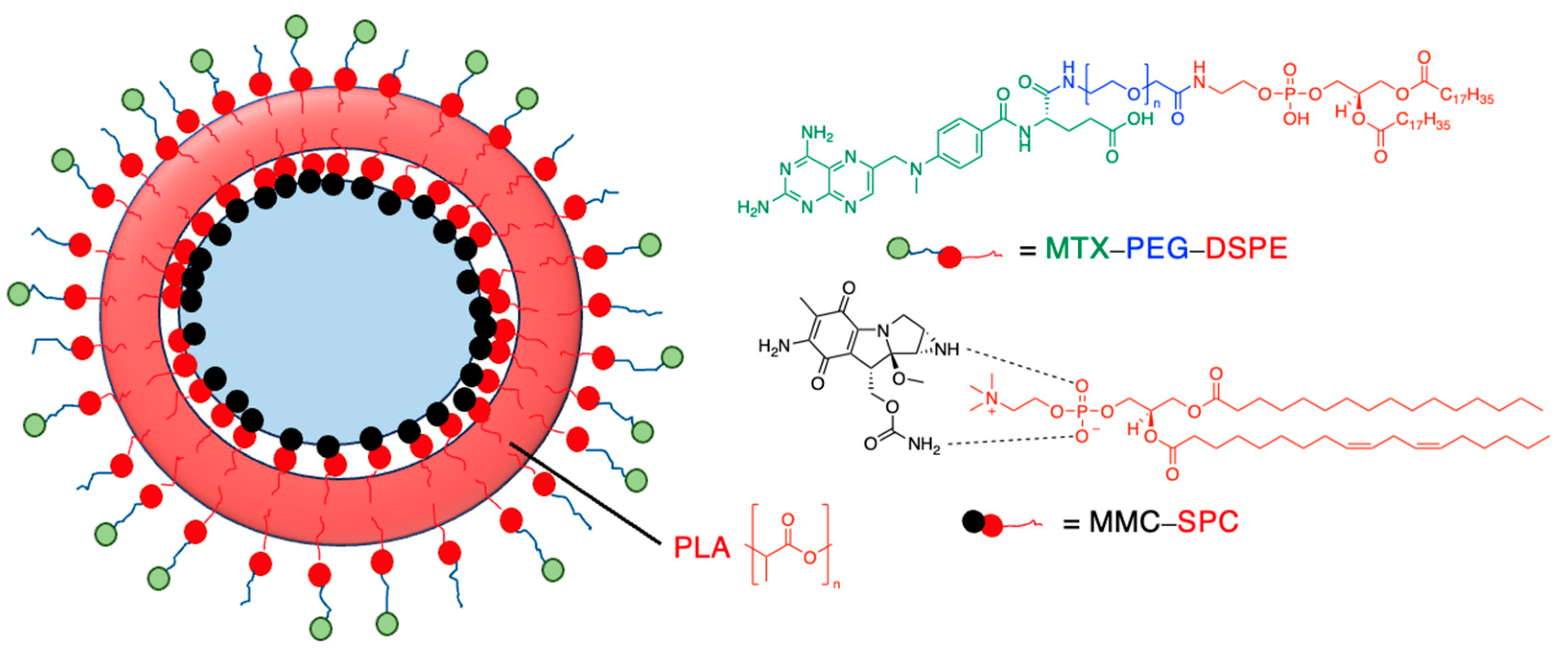 Molecules 29 04949 g010