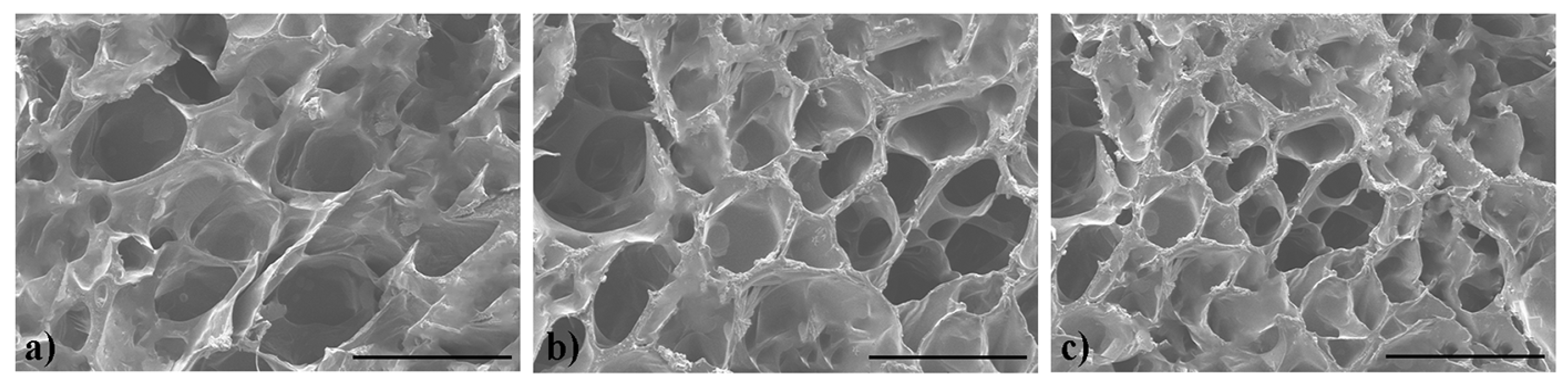 Molecules 29 04952 g004